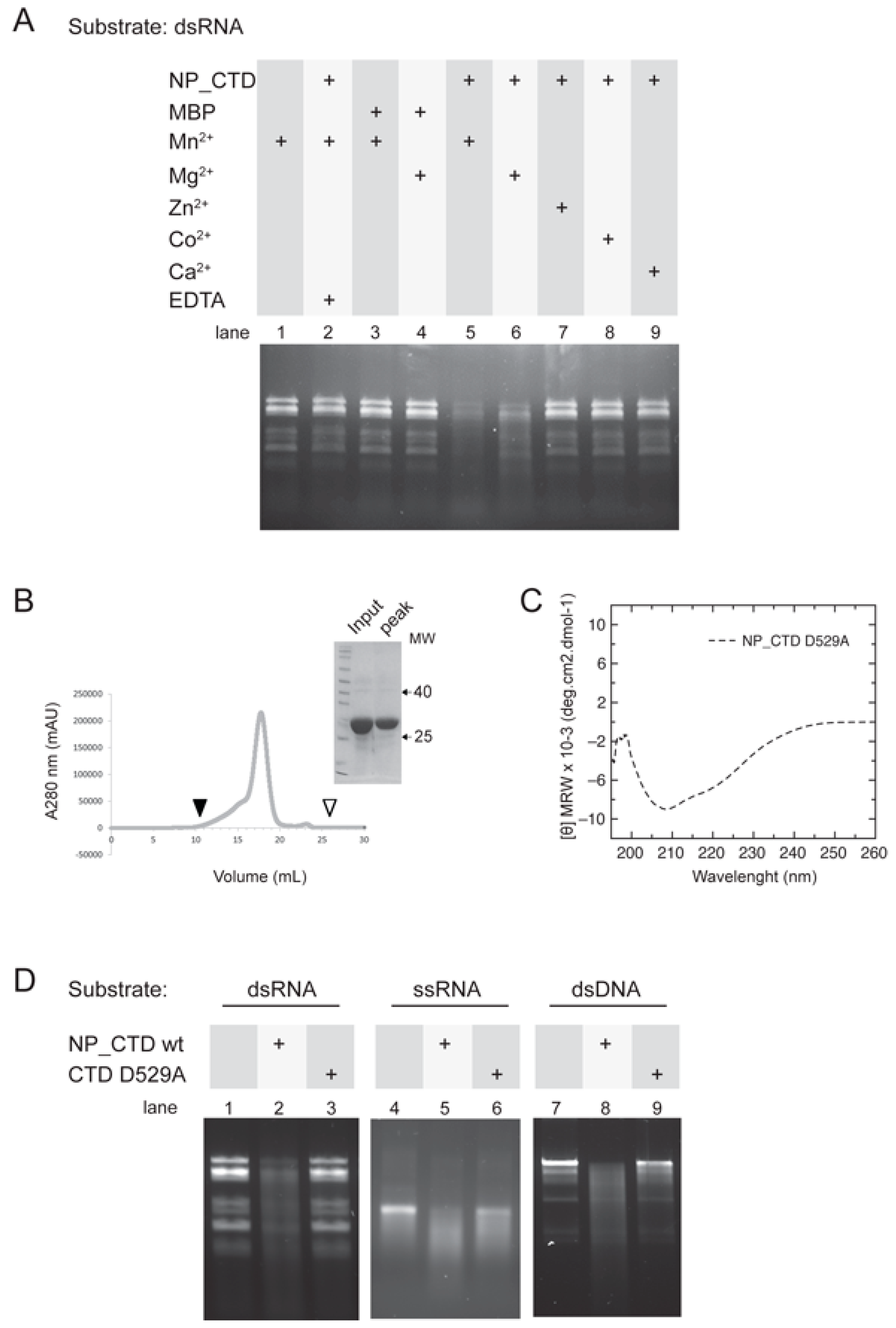 Viruses 15 01818 g004