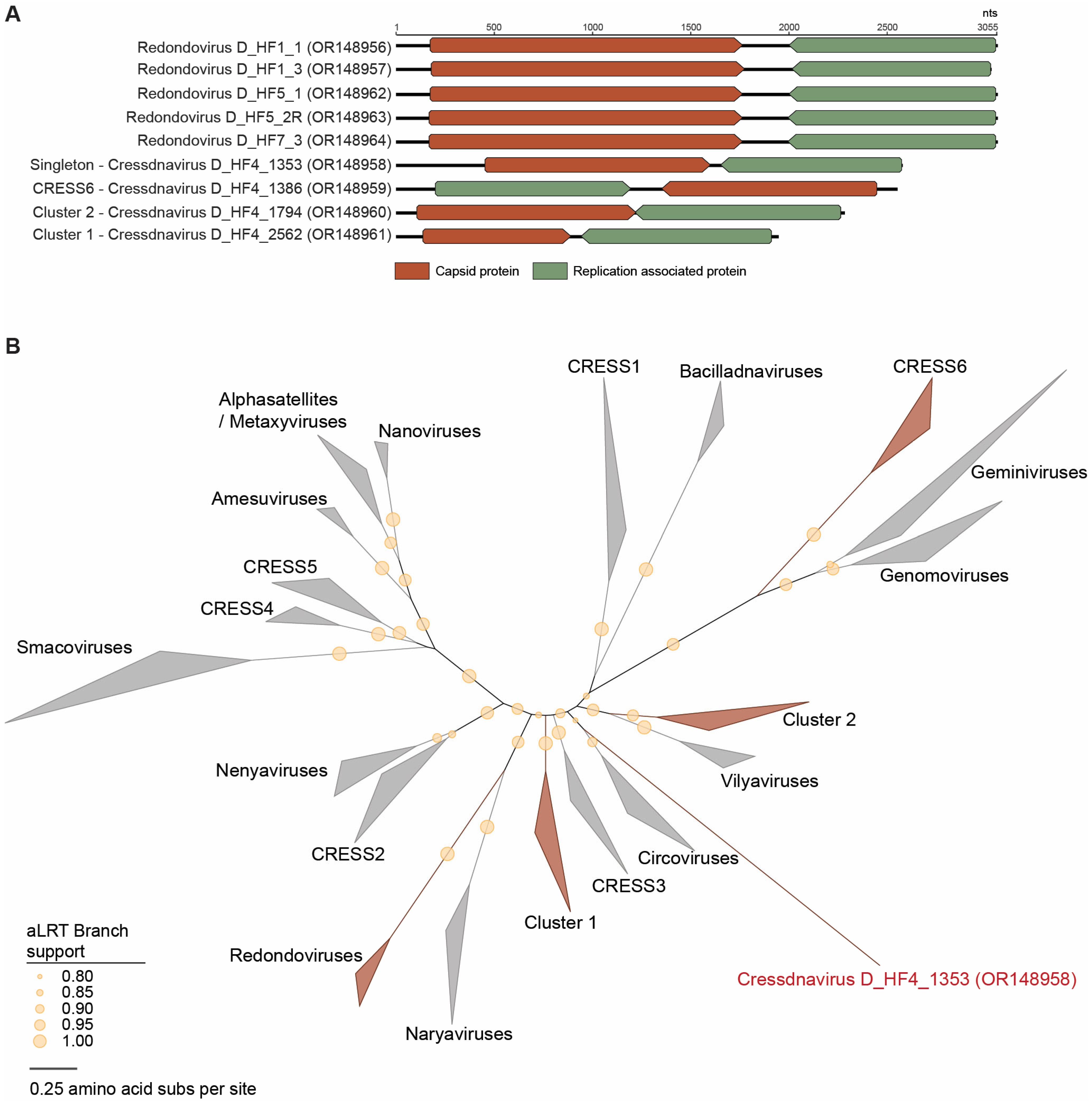 Viruses 15 01821 g003 Viruses 15 01821 g003