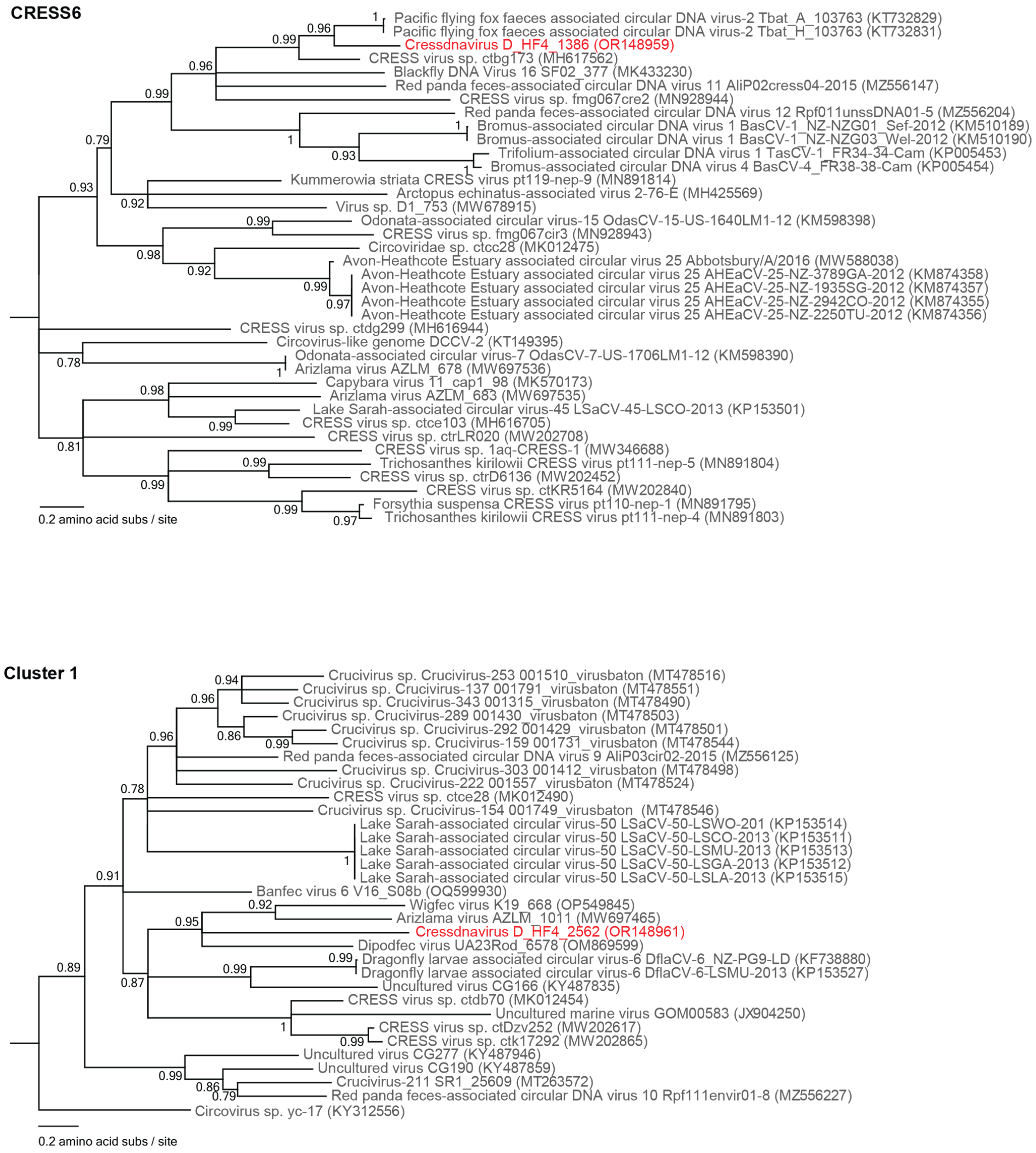 Viruses 15 01821 g005 Viruses 15 01821 g005
