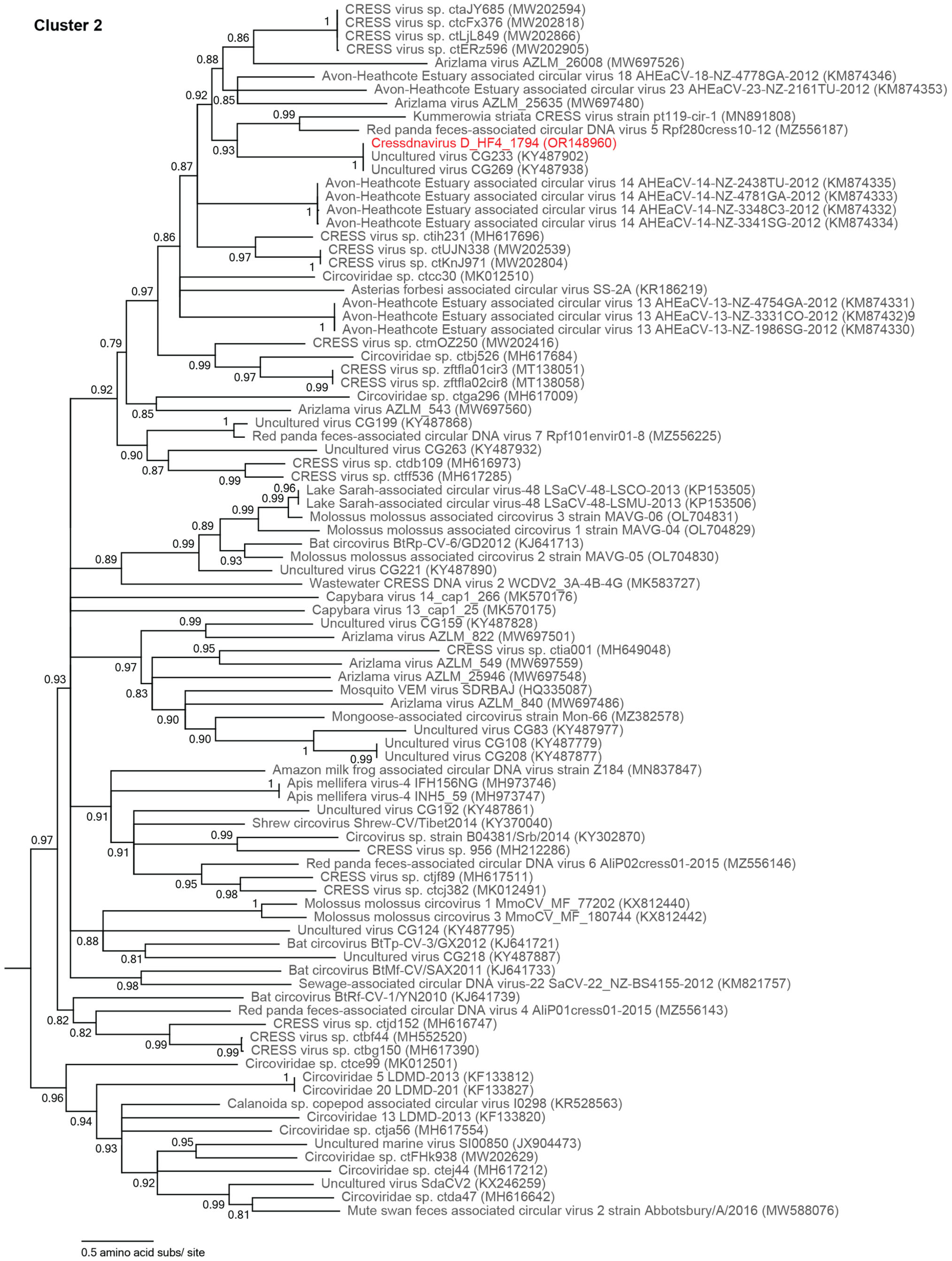 Viruses 15 01821 g006 Viruses 15 01821 g006