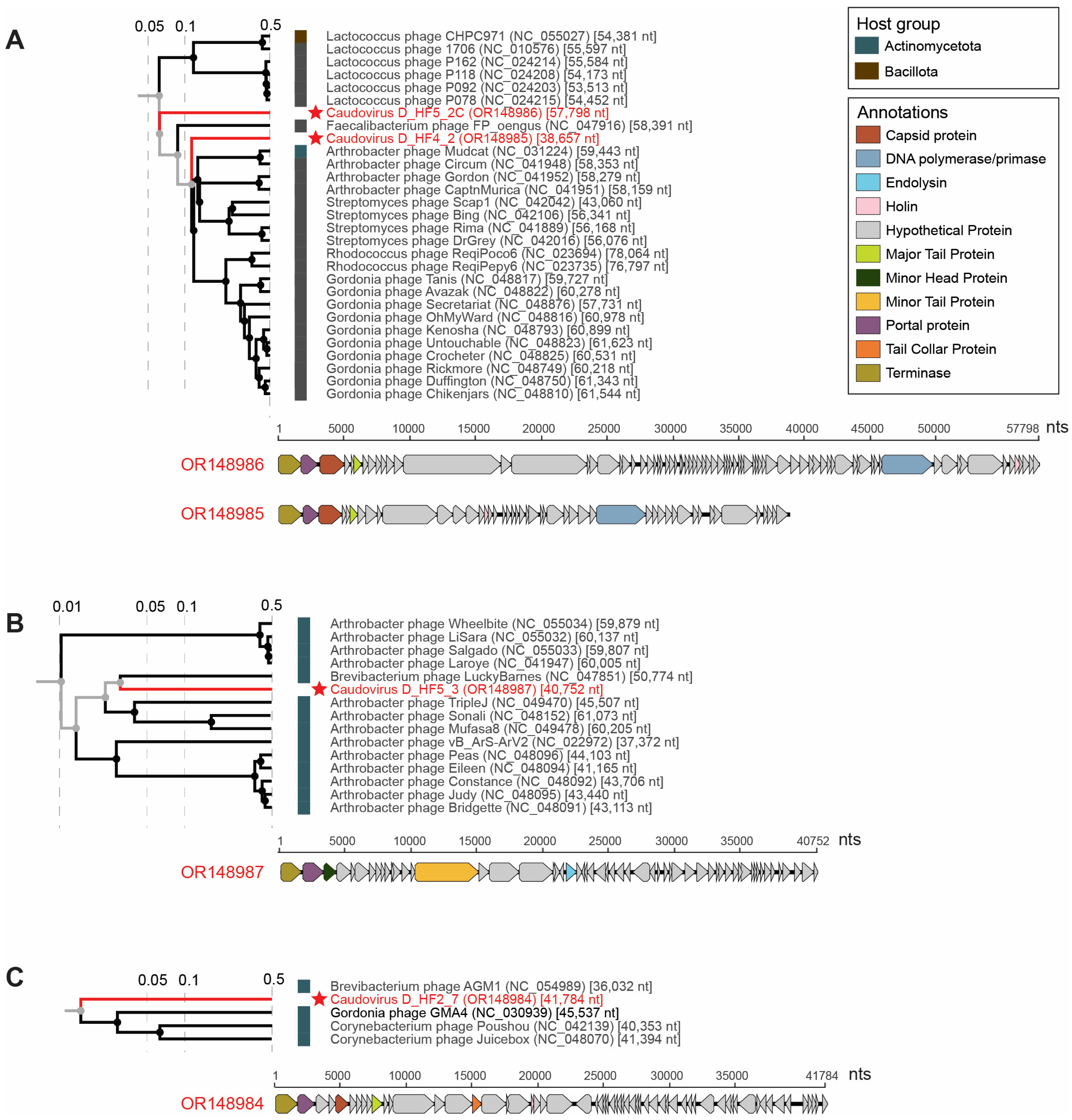 Viruses 15 01821 g007 Viruses 15 01821 g007