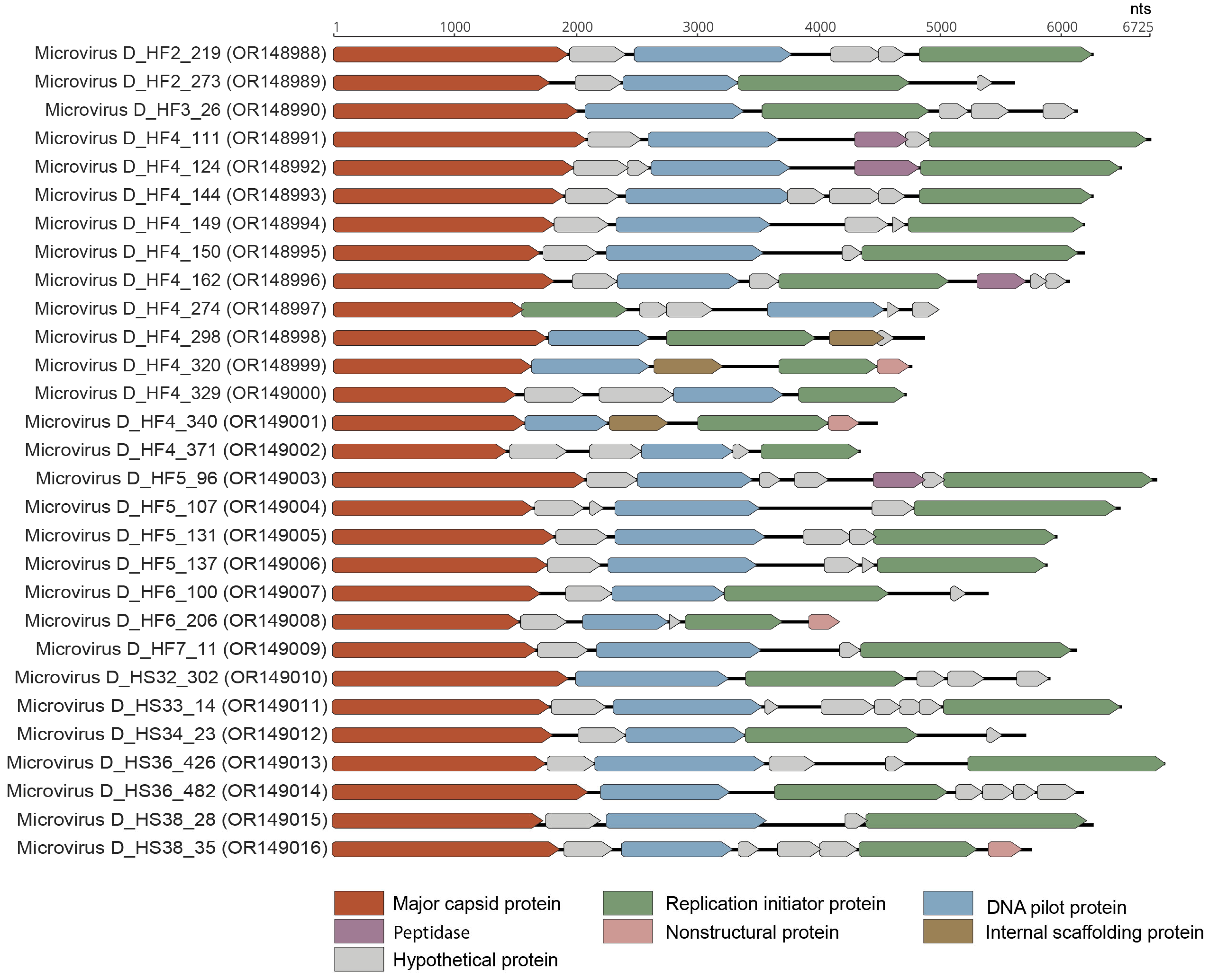 Viruses 15 01821 g008 Viruses 15 01821 g008