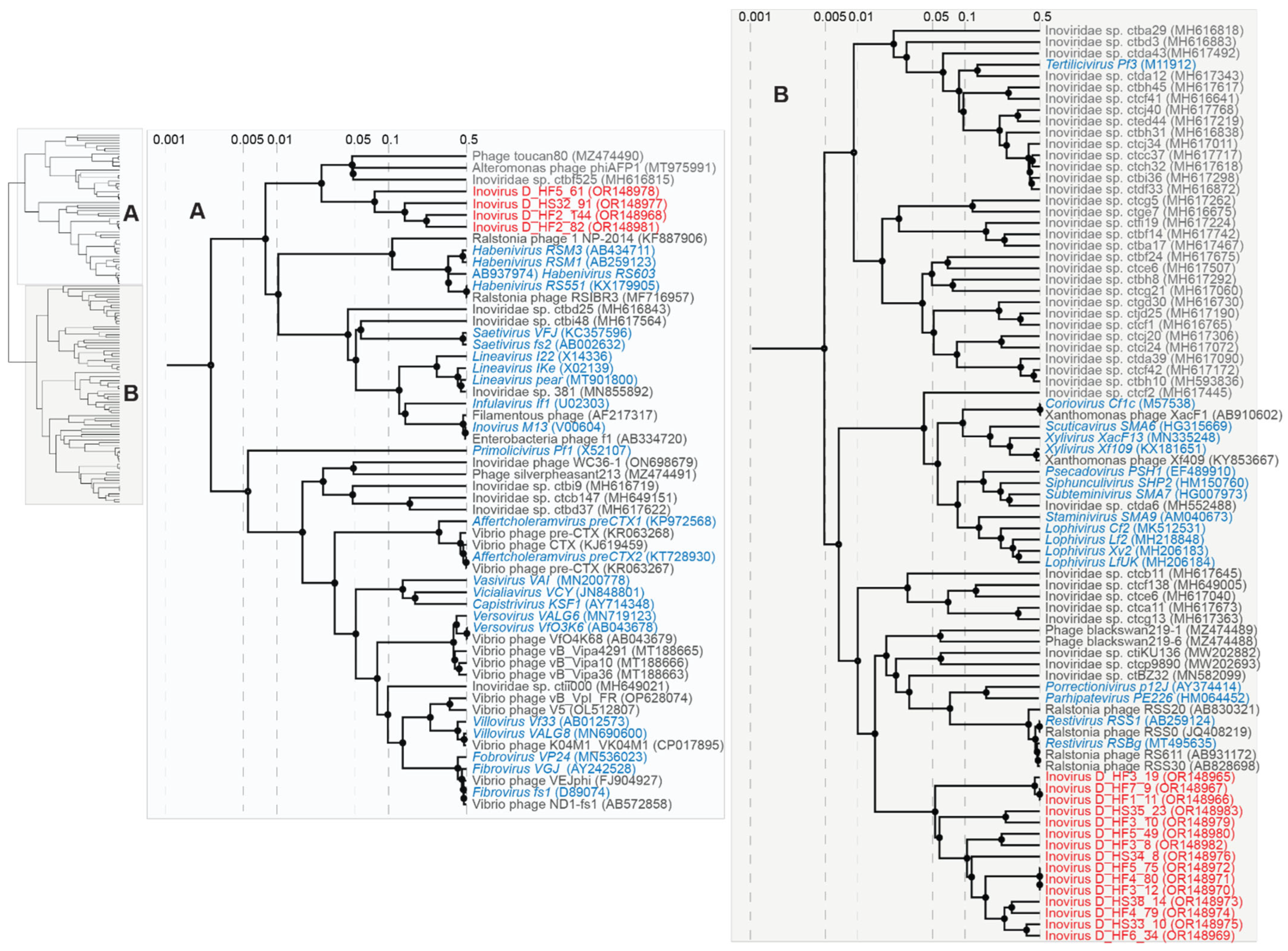 Viruses 15 01821 g011 Viruses 15 01821 g011