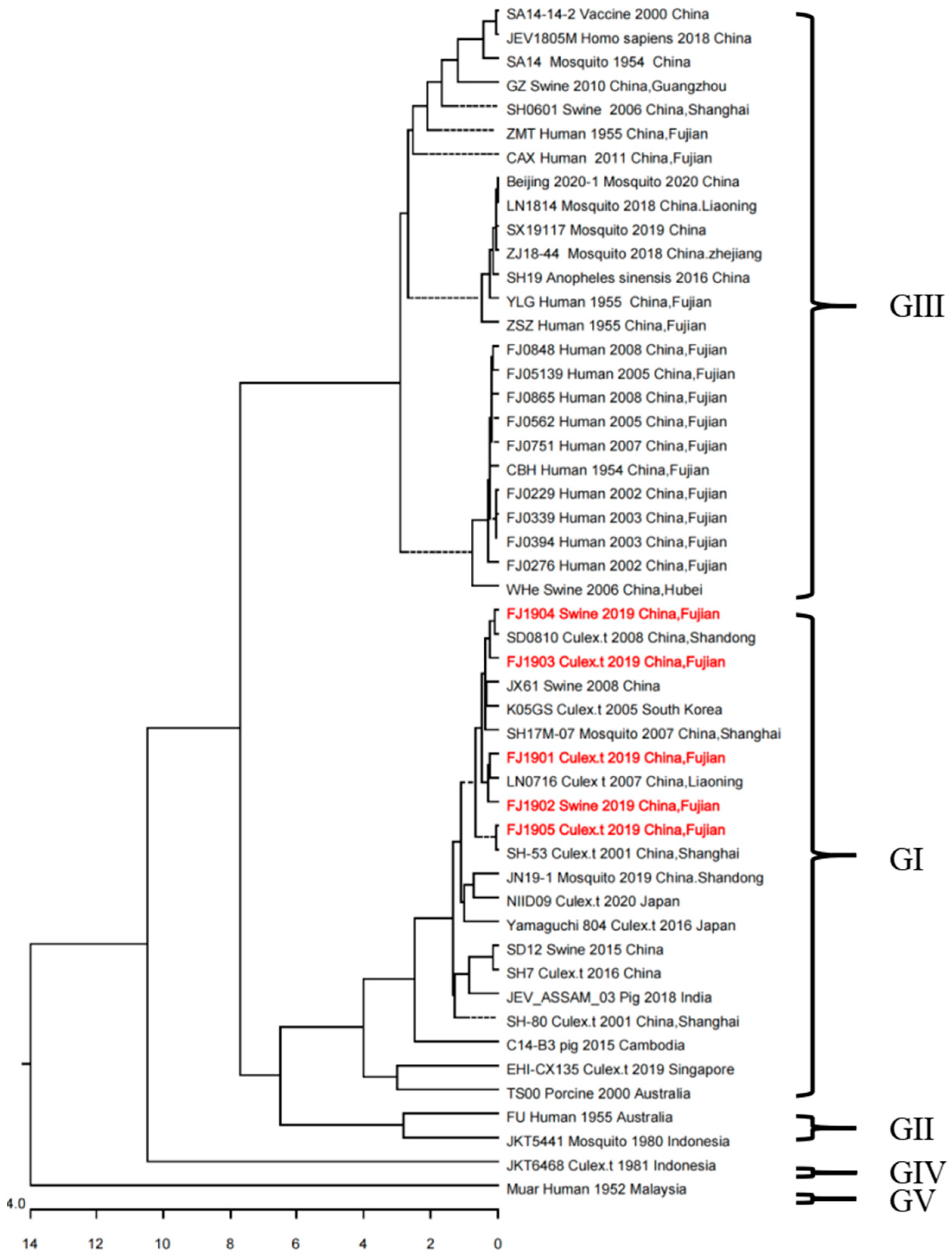 Viruses 15 01822 g001