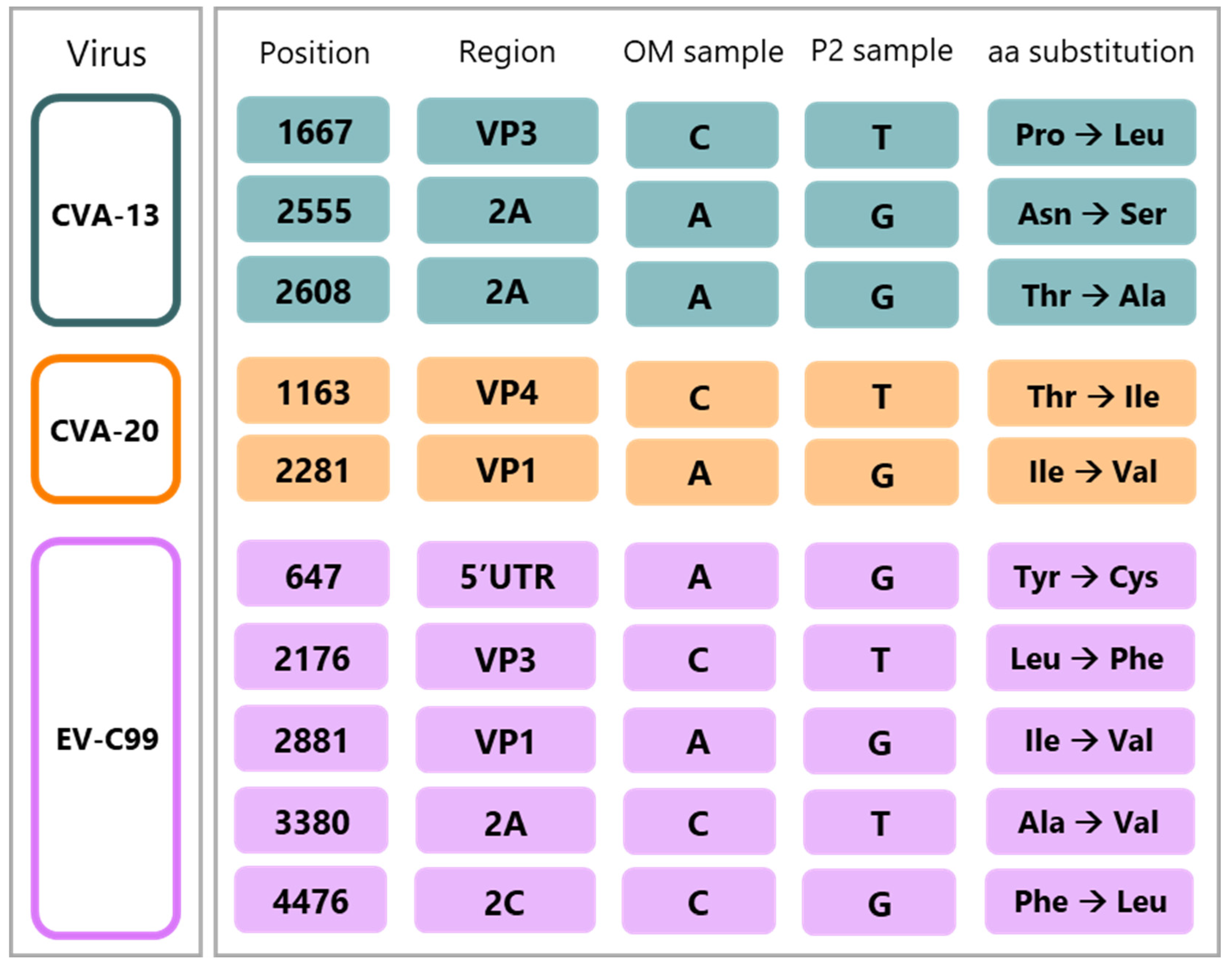 Viruses 15 01823 g001