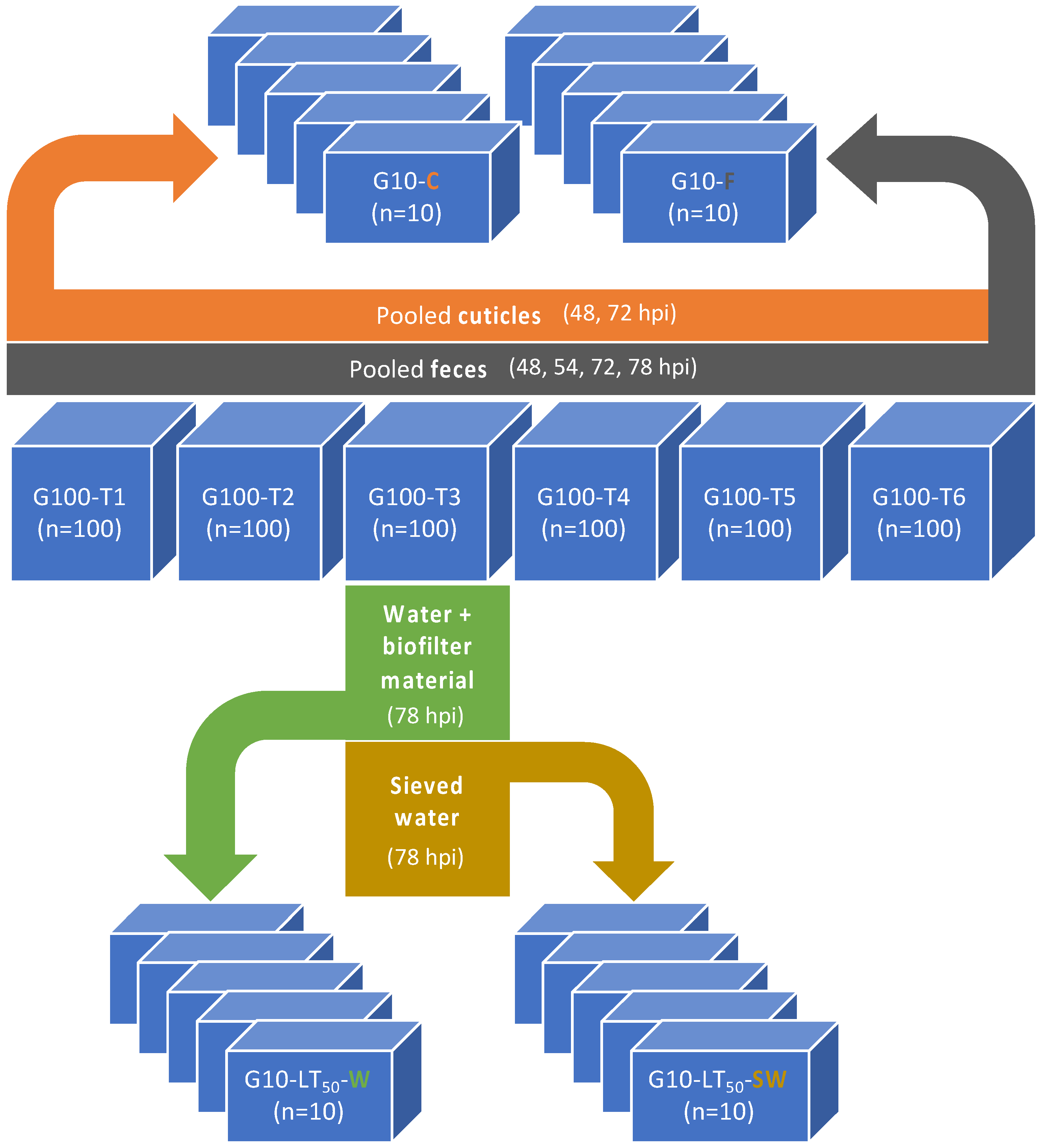 Viruses 15 01824 g004