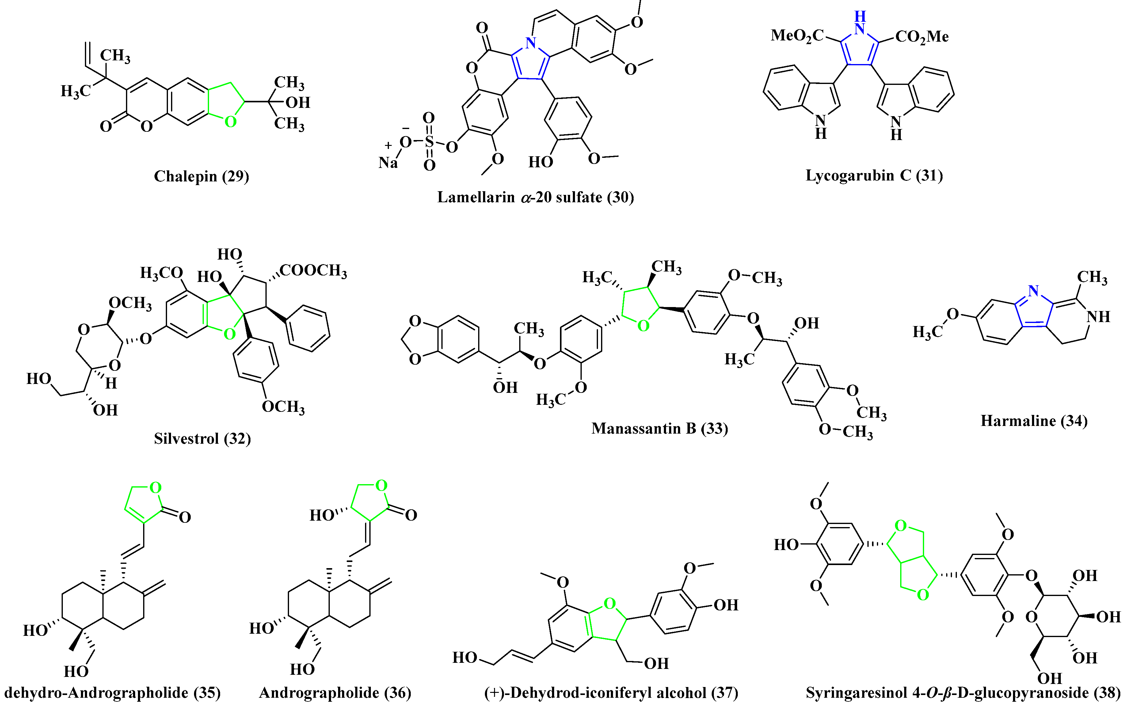 Viruses 15 01826 g005 Viruses 15 01826 g005