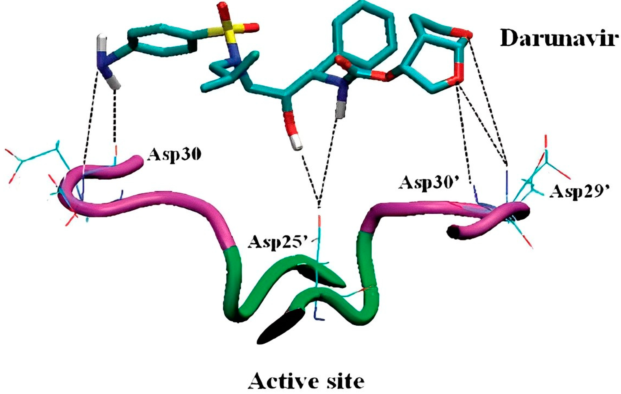 Viruses 15 01826 g007 Viruses 15 01826 g007
