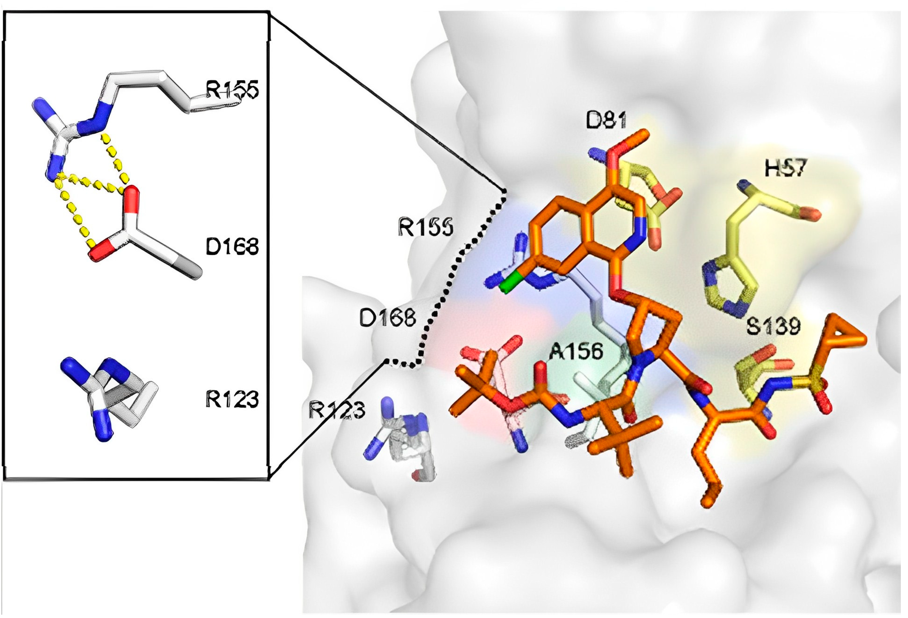 Viruses 15 01826 g012 Viruses 15 01826 g012