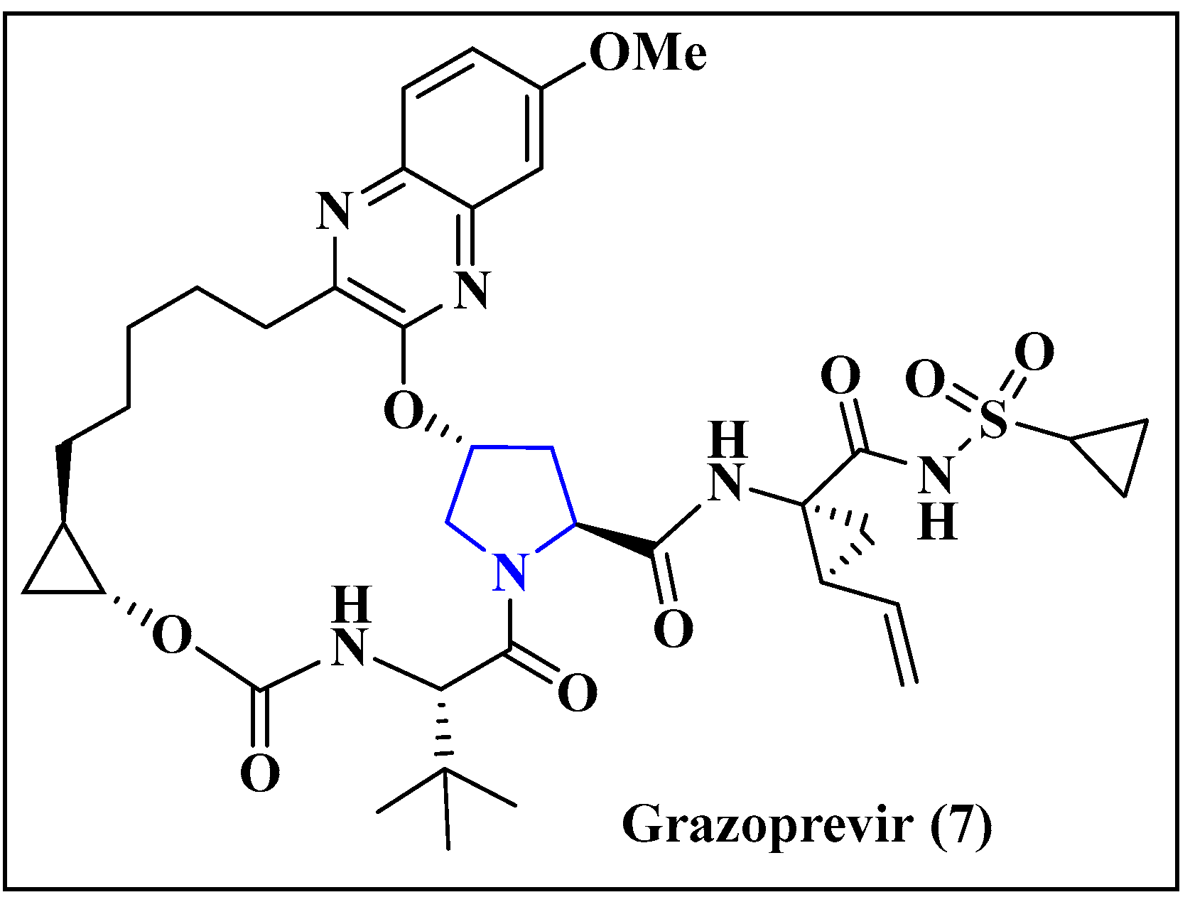 Viruses 15 01826 g014 Viruses 15 01826 g014