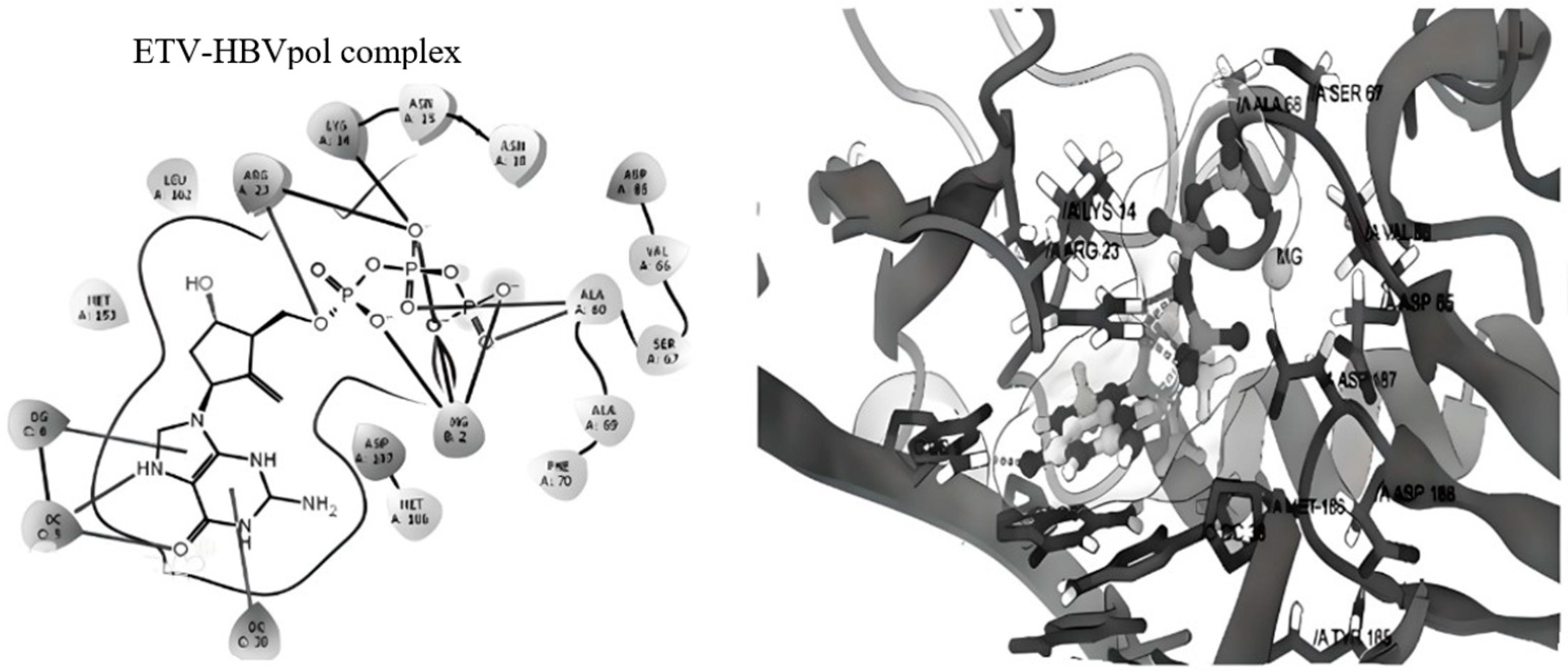 Viruses 15 01826 g017 Viruses 15 01826 g017