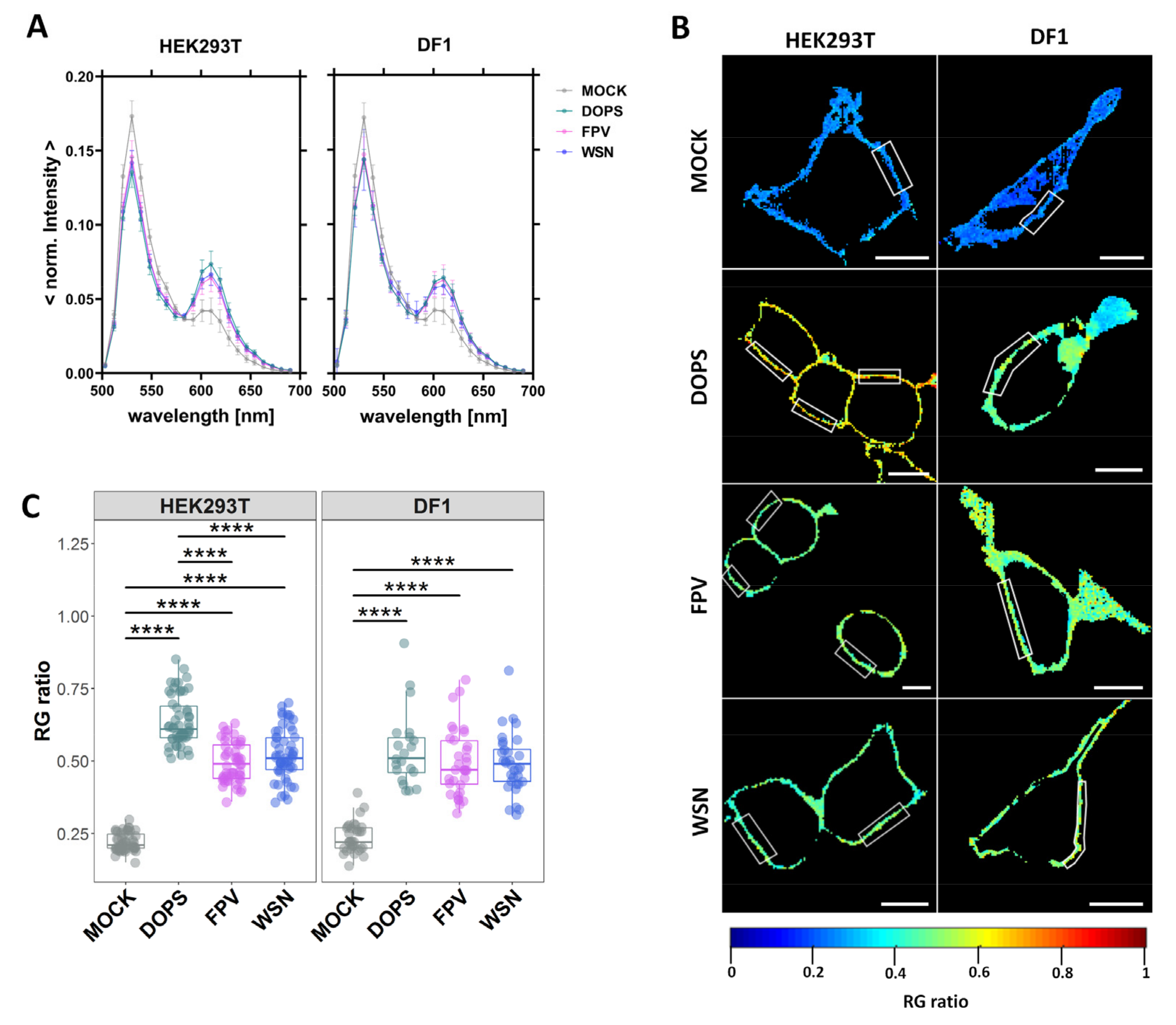 Viruses 15 01830 g001 Viruses 15 01830 g001