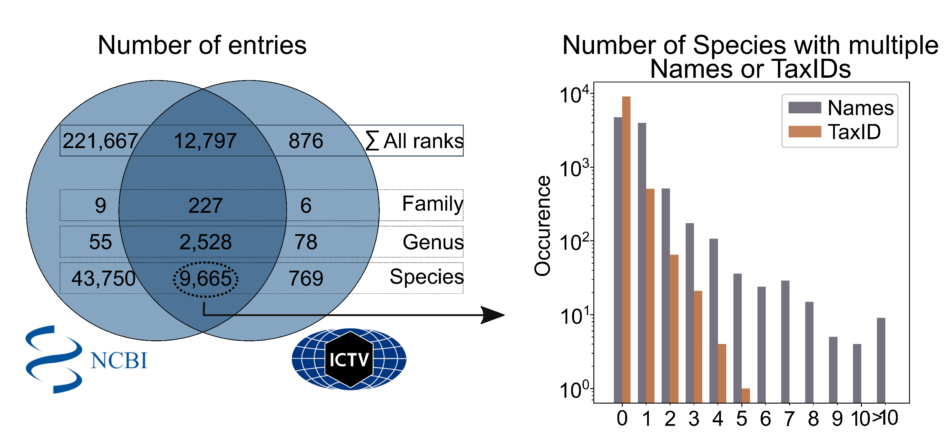 Viruses 15 01834 g002 Viruses 15 01834 g002