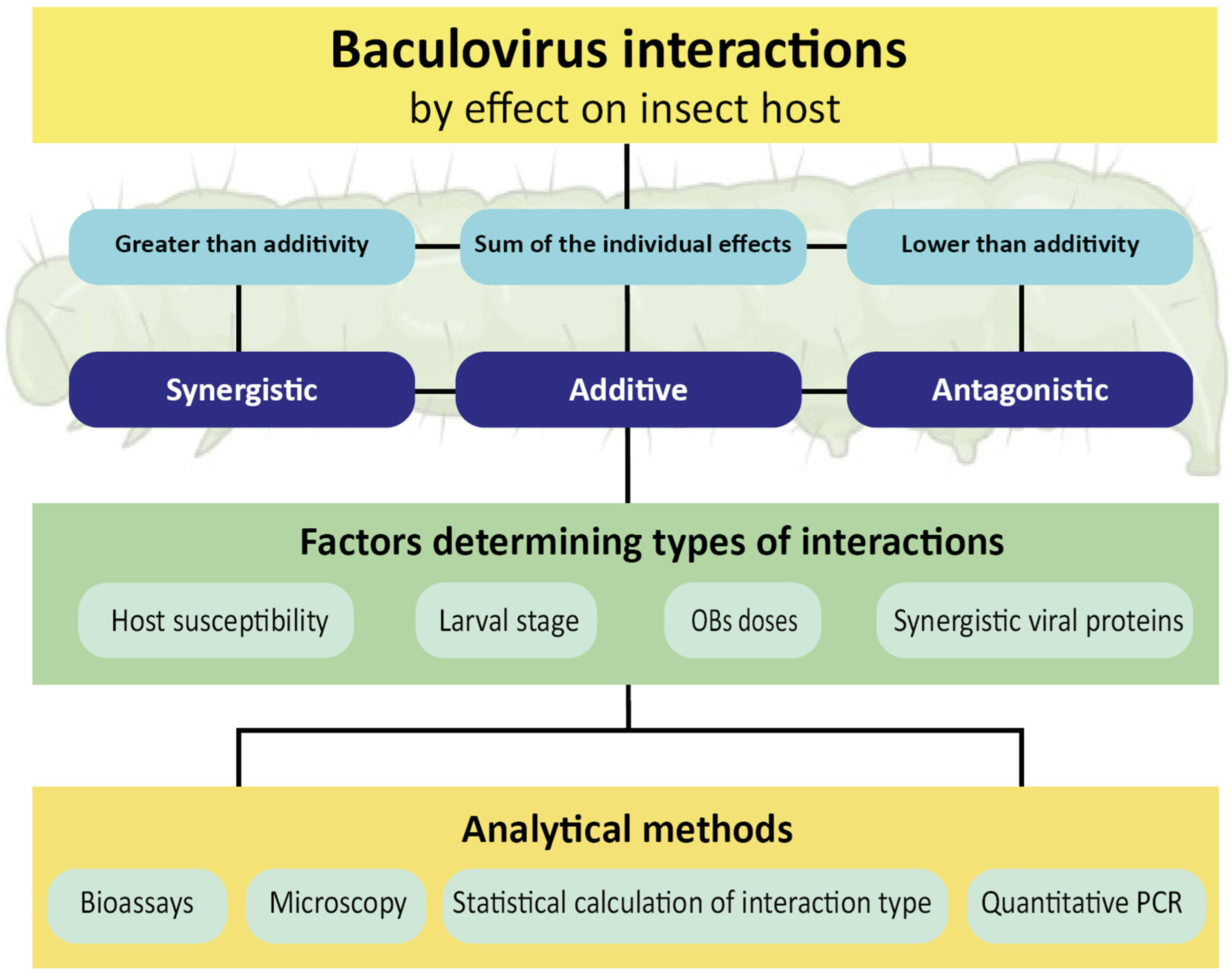 Viruses 15 01838 g001 Viruses 15 01838 g001