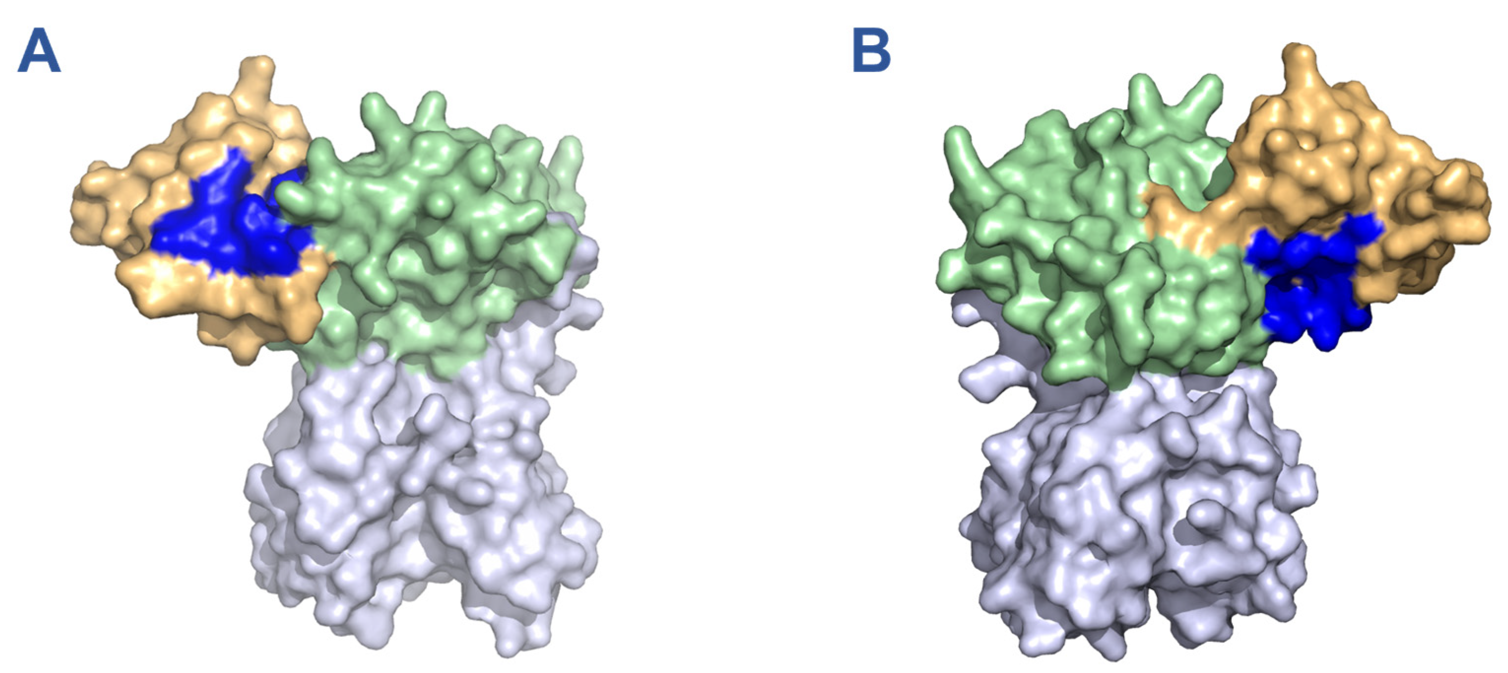 Viruses 15 01841 g001