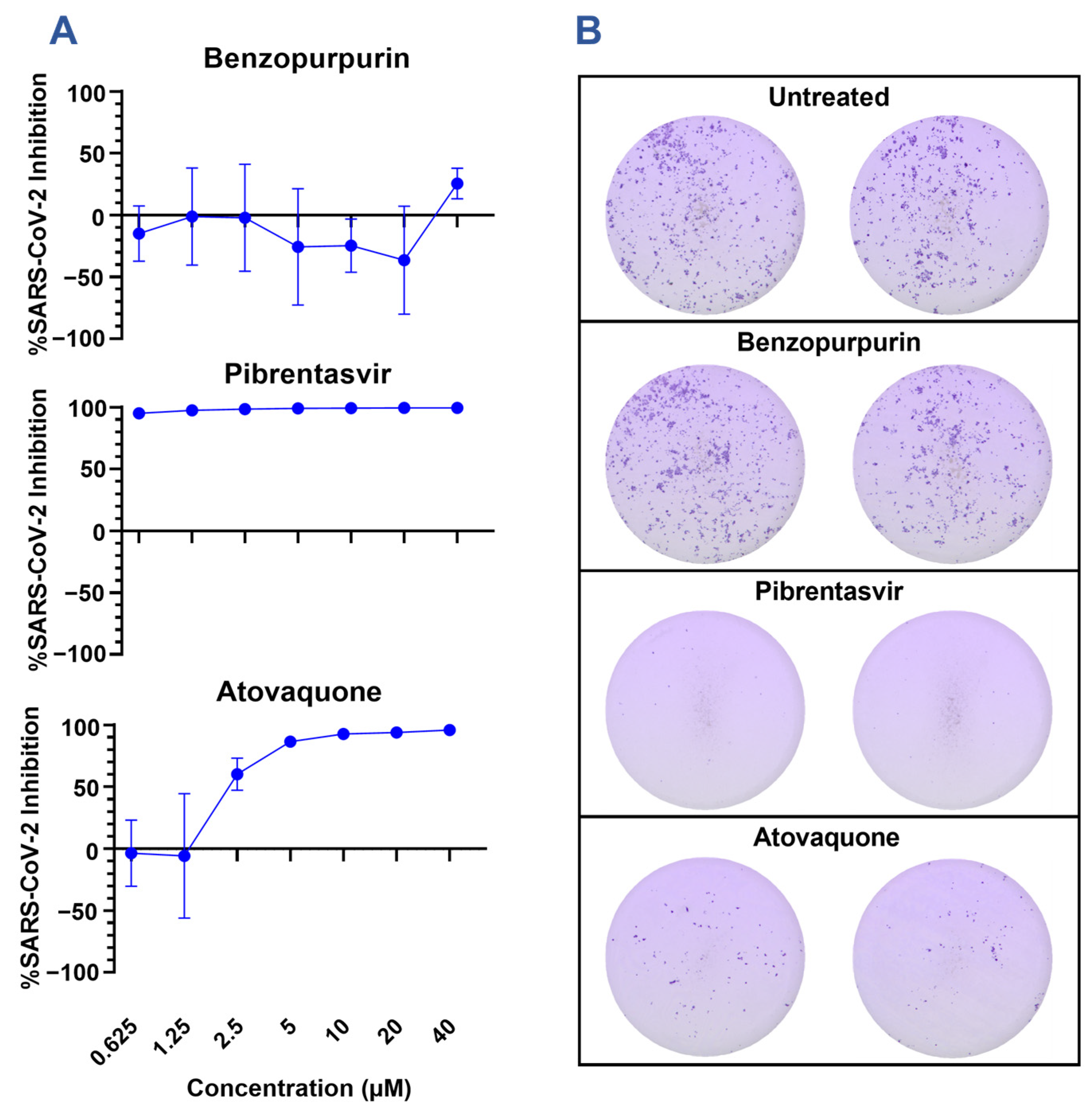 Viruses 15 01841 g003