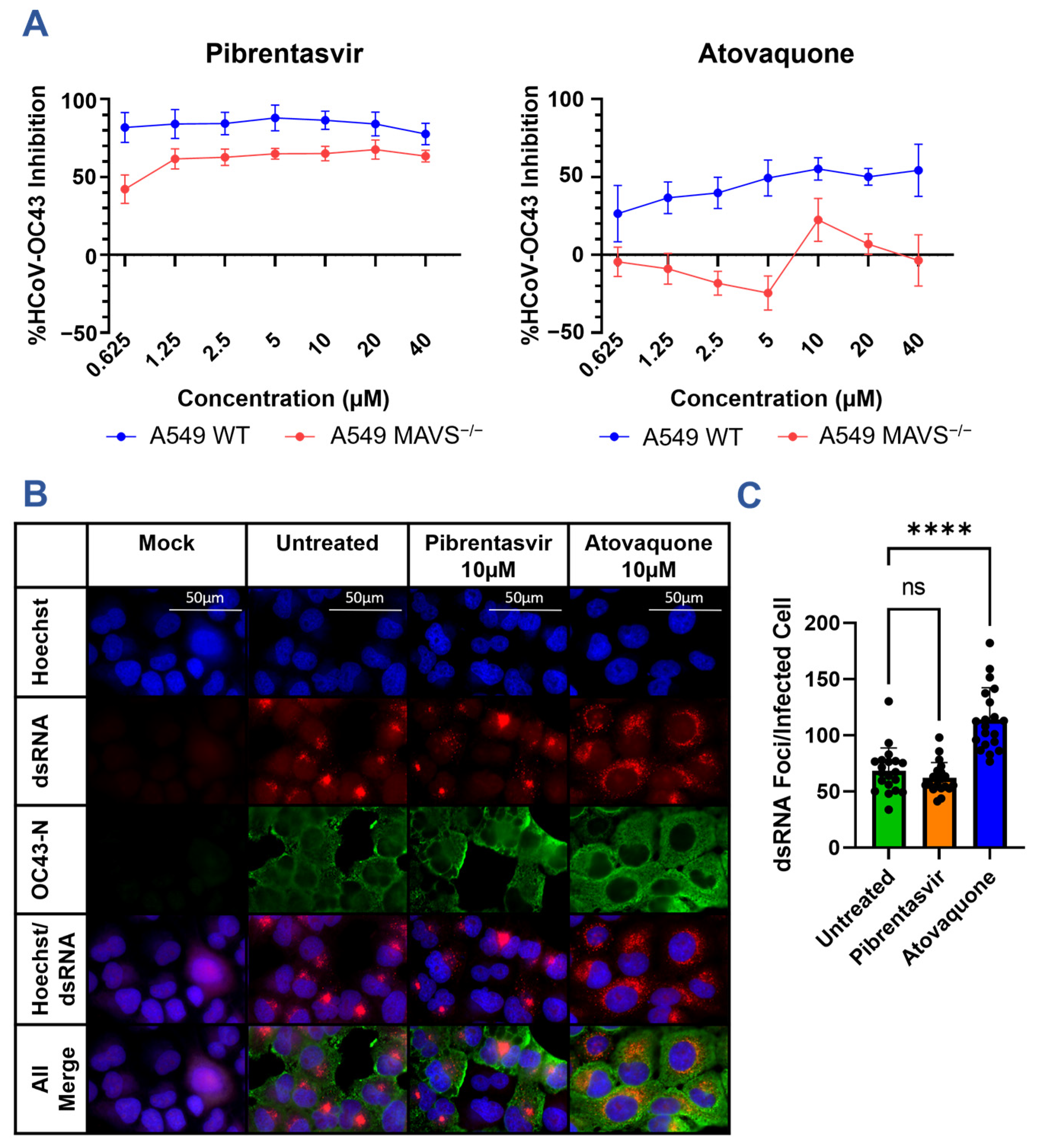 Viruses 15 01841 g004