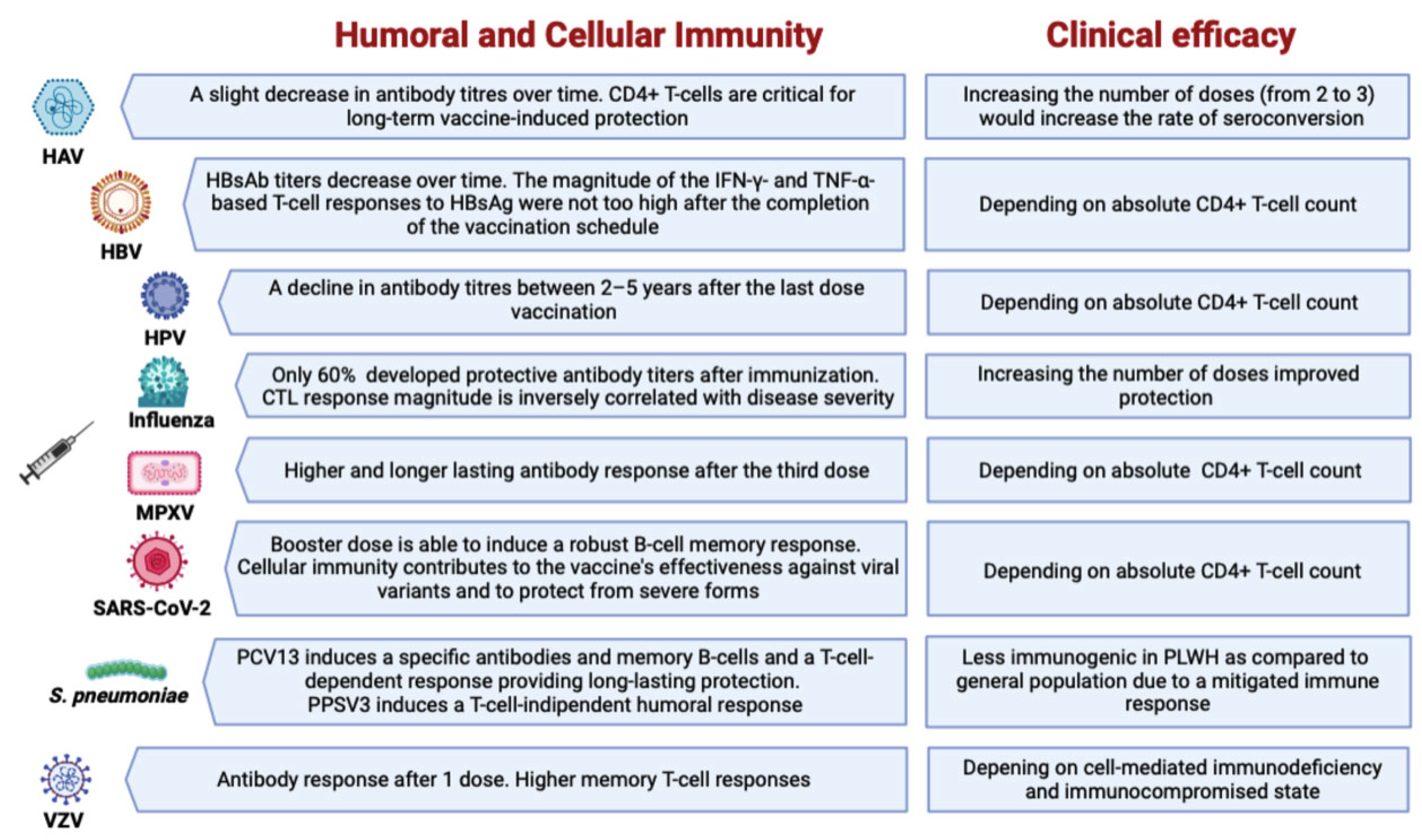 Viruses 15 01844 g001