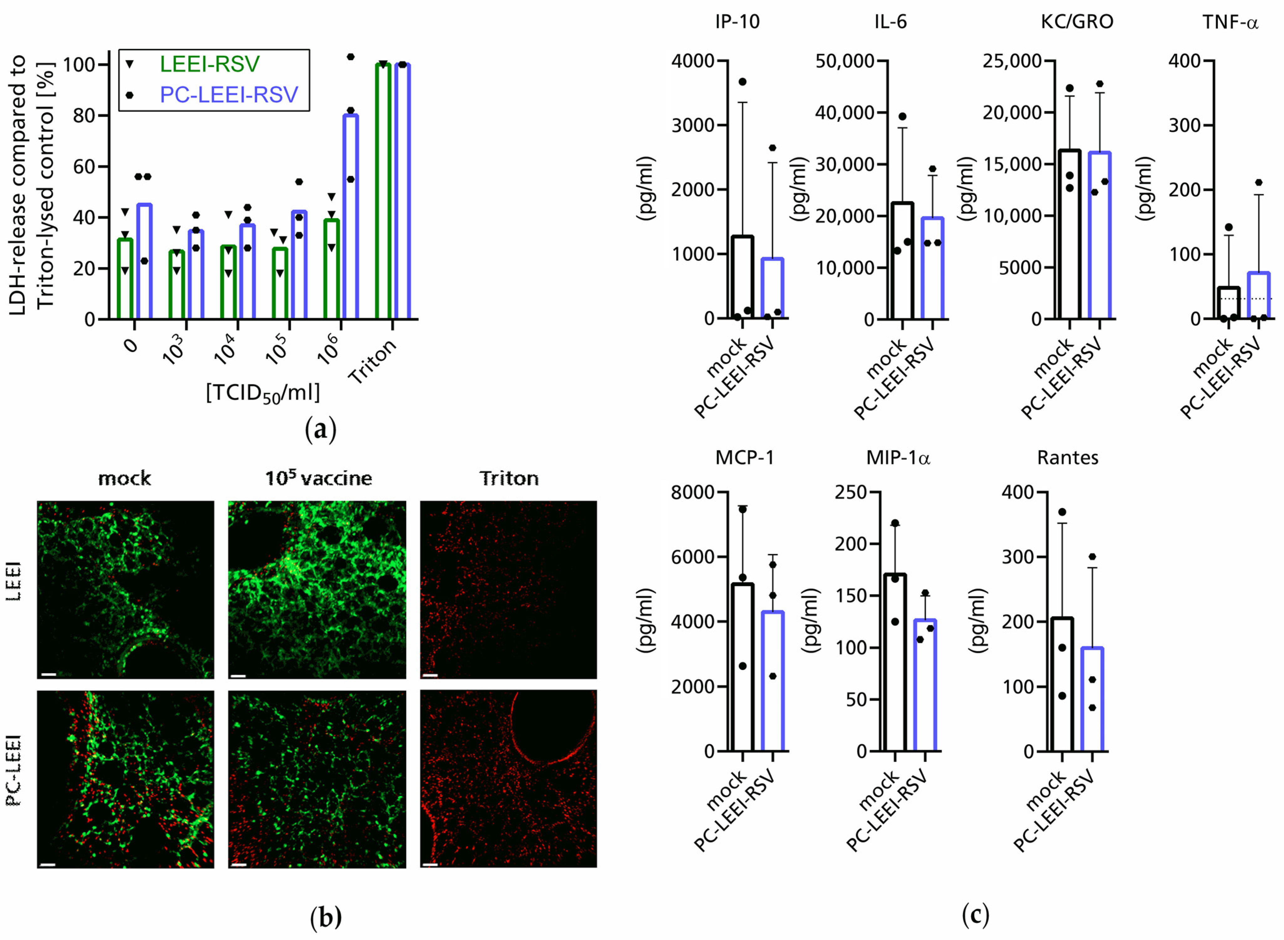 Viruses 15 01846 g002