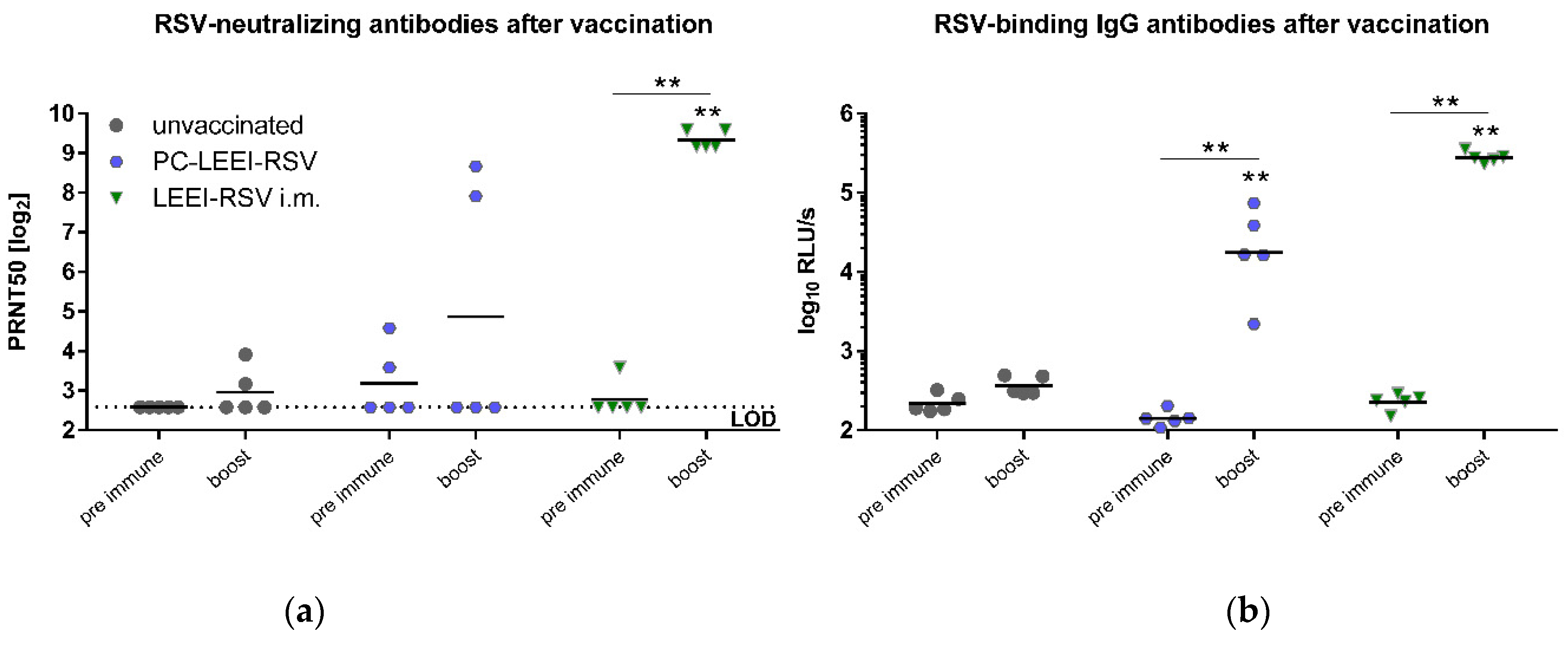Viruses 15 01846 g003