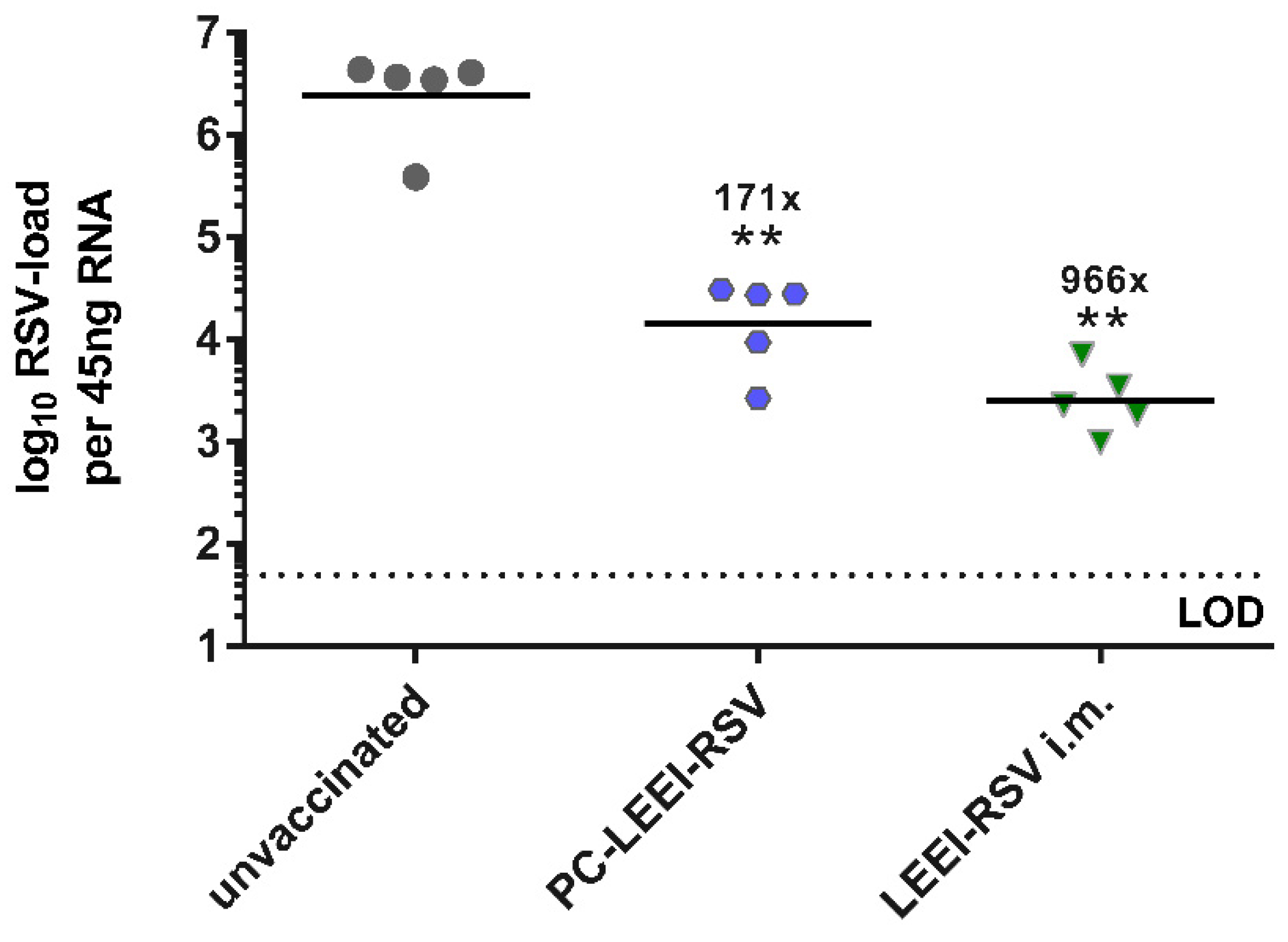 Viruses 15 01846 g004