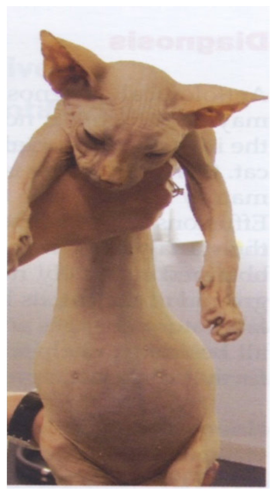 Viruses 15 01847 g004 Viruses 15 01847 g004