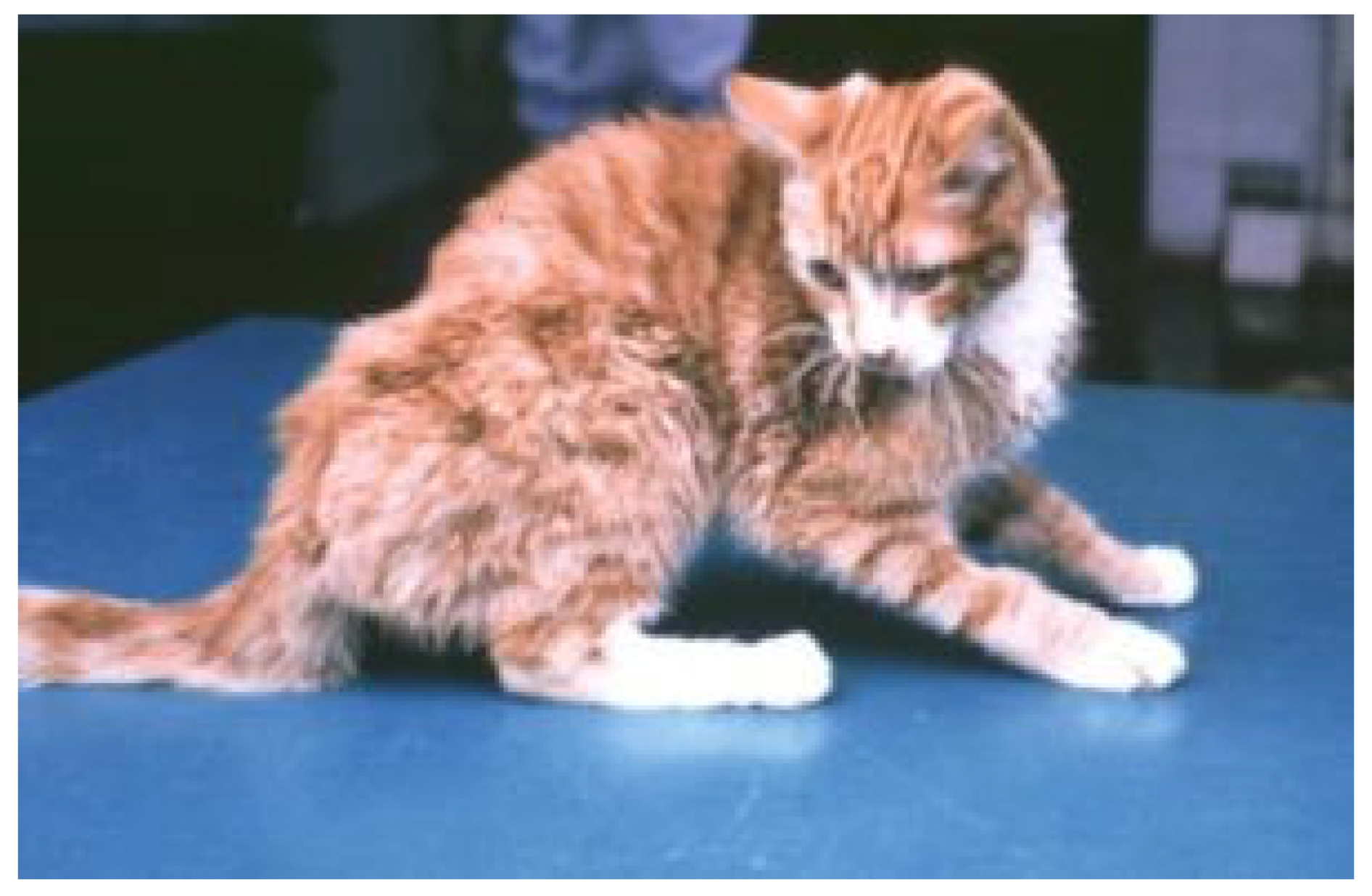 Viruses 15 01847 g007 Viruses 15 01847 g007