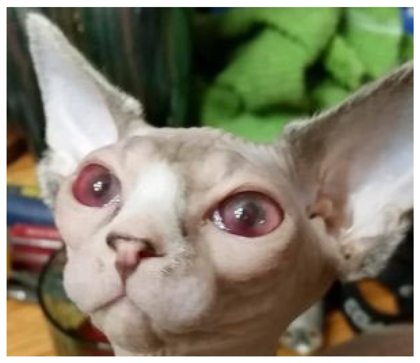 Viruses 15 01847 g008 Viruses 15 01847 g008