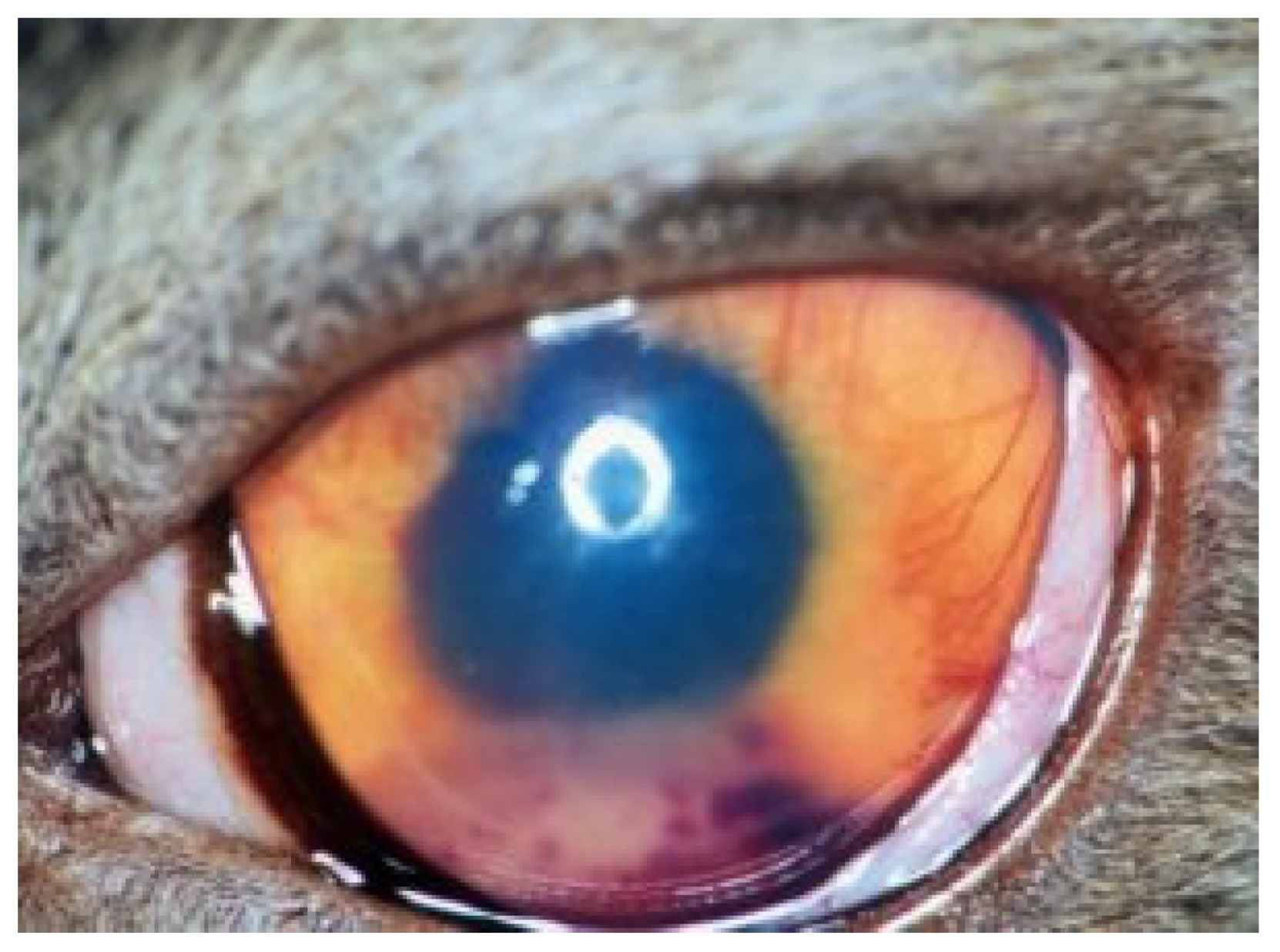 Viruses 15 01847 g010 Viruses 15 01847 g010