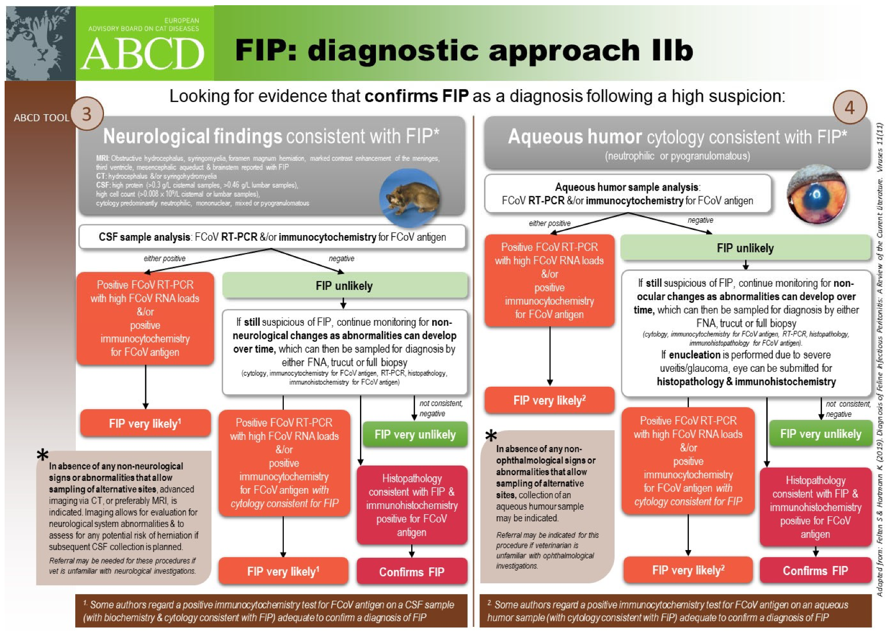 Viruses 15 01847 g013 Viruses 15 01847 g013