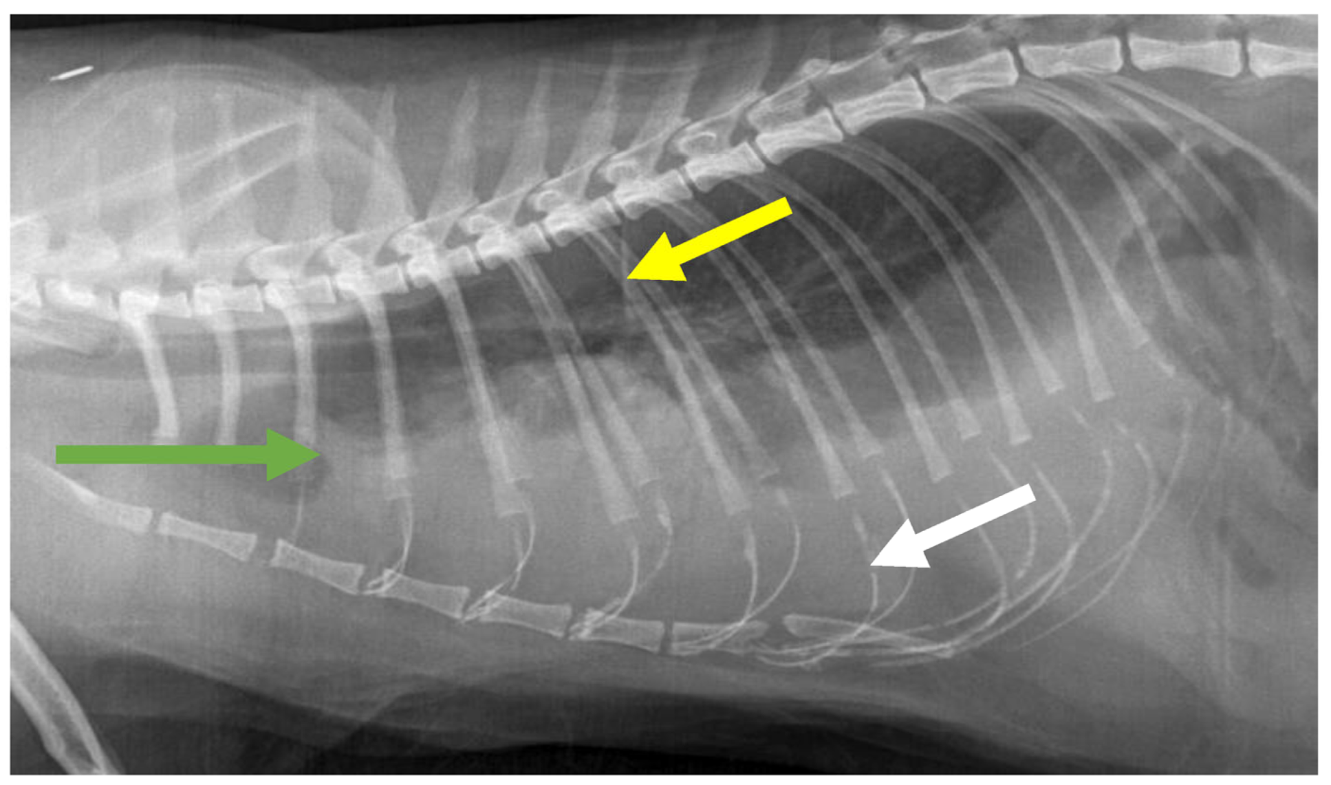 Viruses 15 01847 g019 Viruses 15 01847 g019