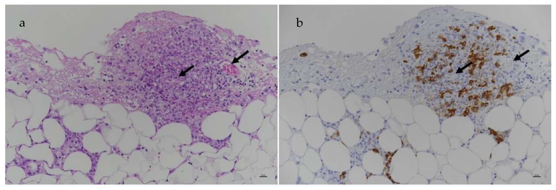 Viruses 15 01847 g024 Viruses 15 01847 g024