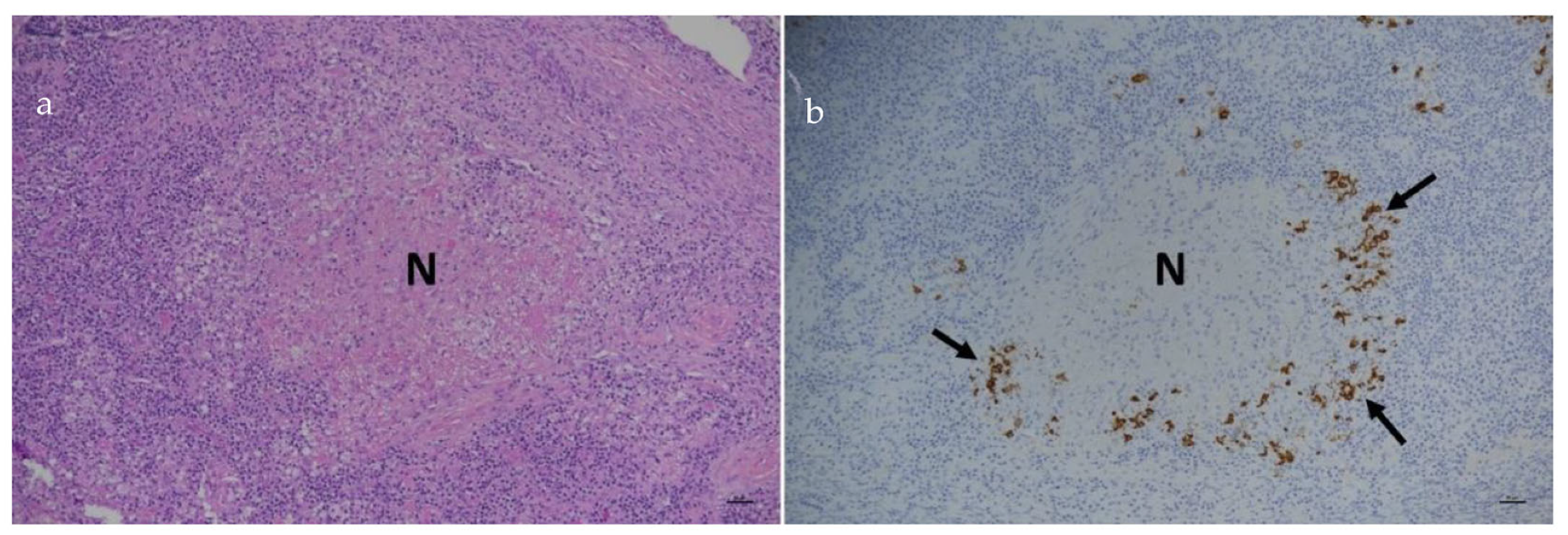 Viruses 15 01847 g025 Viruses 15 01847 g025