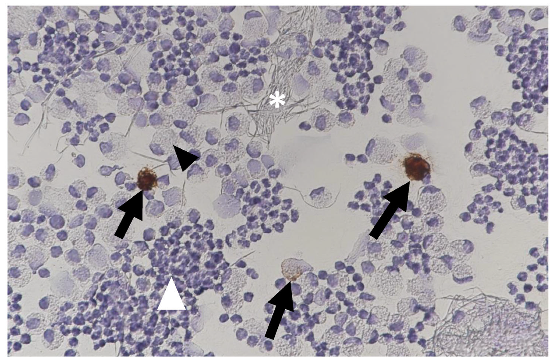 Viruses 15 01847 g030 Viruses 15 01847 g030