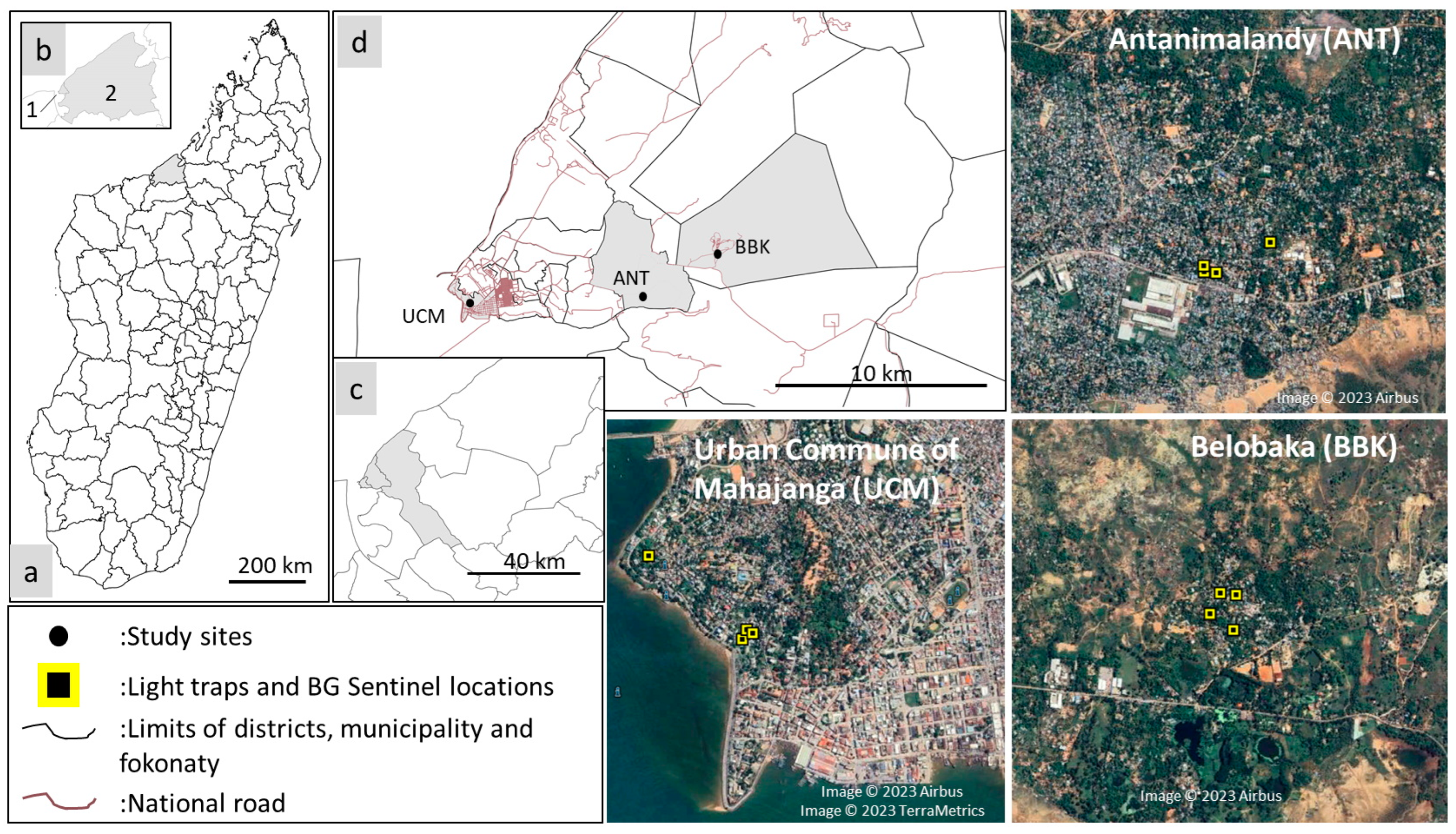 Viruses 15 01852 g001