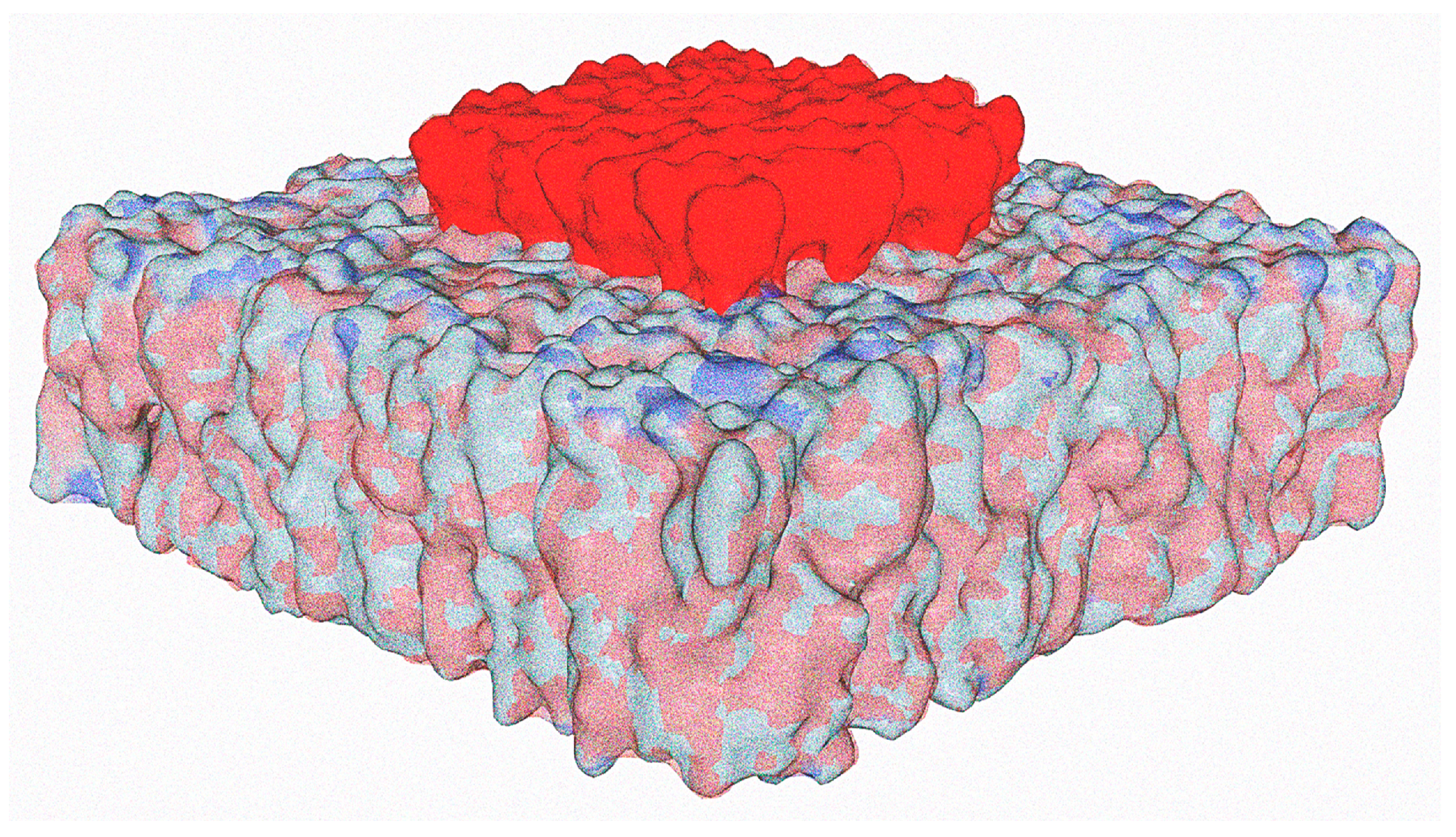 Viruses 15 01854 g001