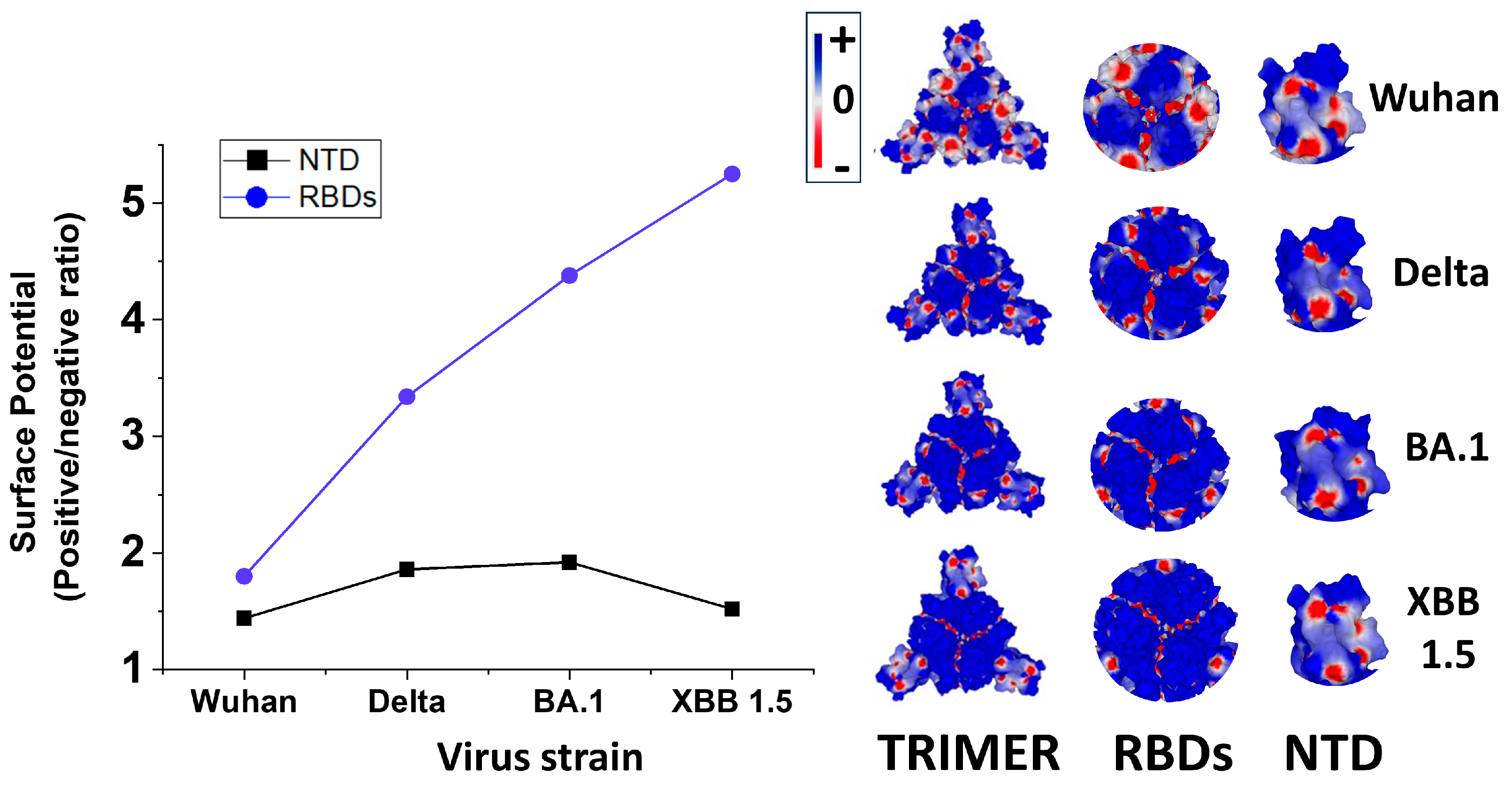 Viruses 15 01854 g005