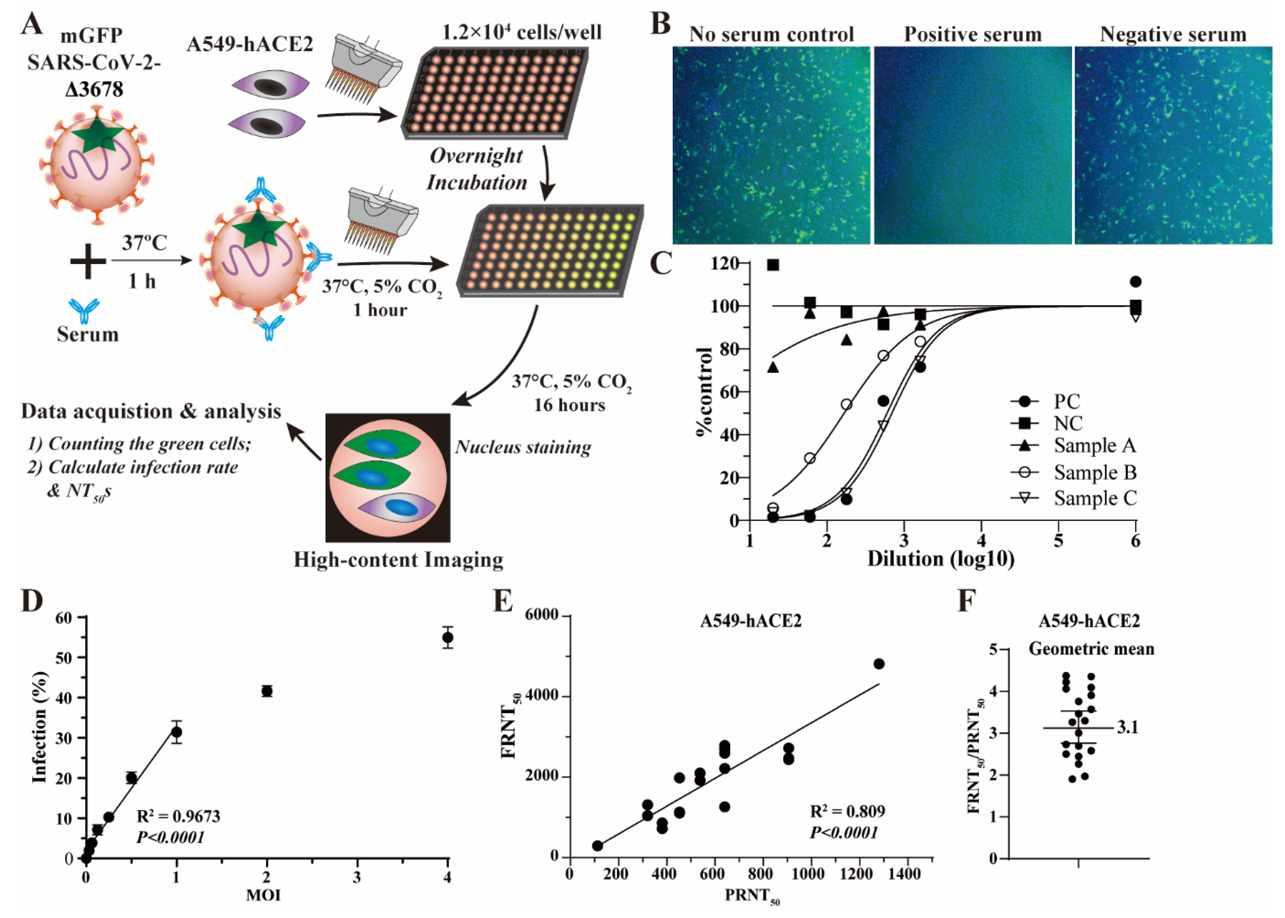 Viruses 15 01855 g002