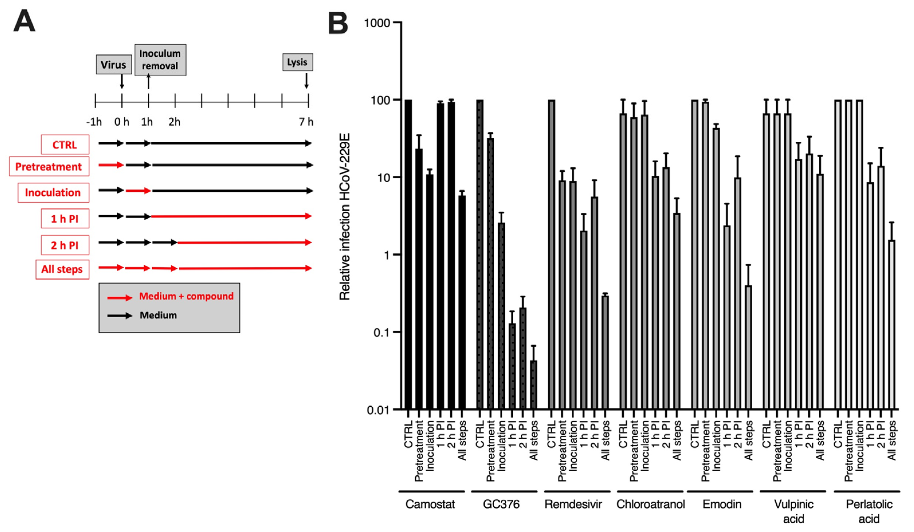 Viruses 15 01859 g003