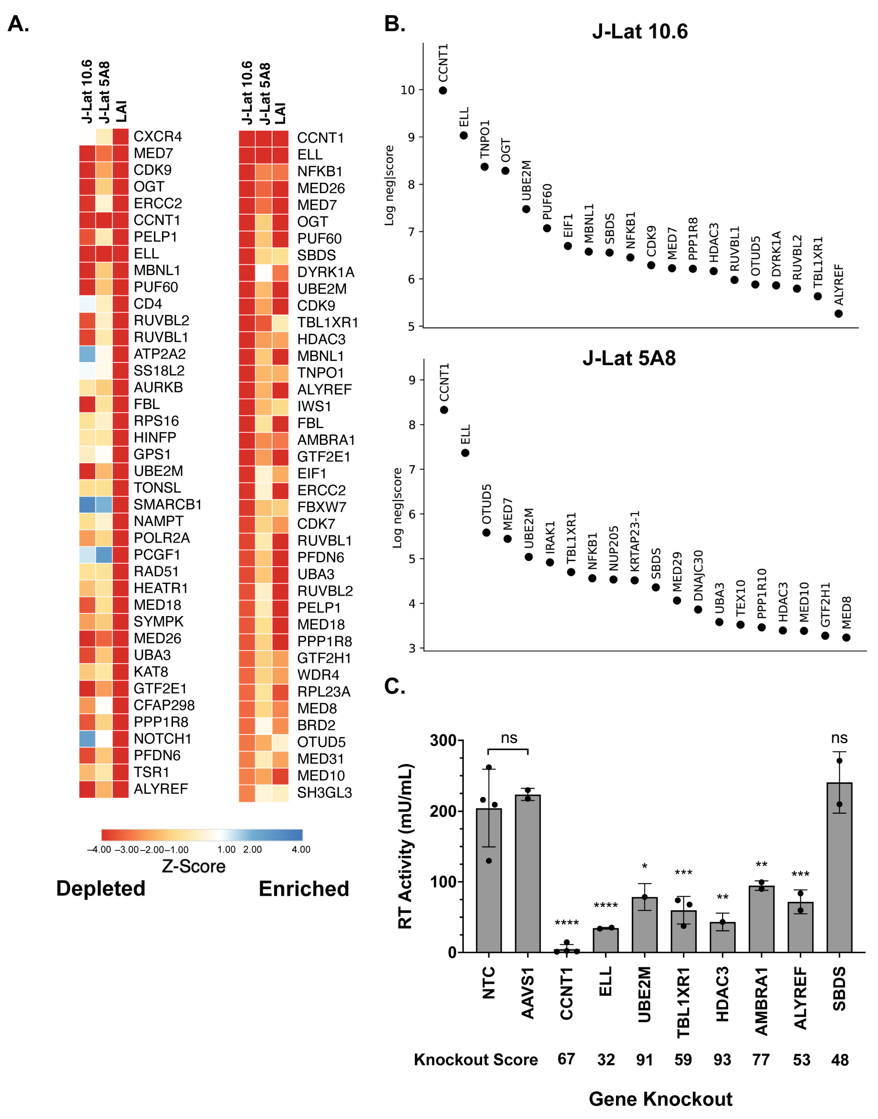 Viruses 15 01863 g002