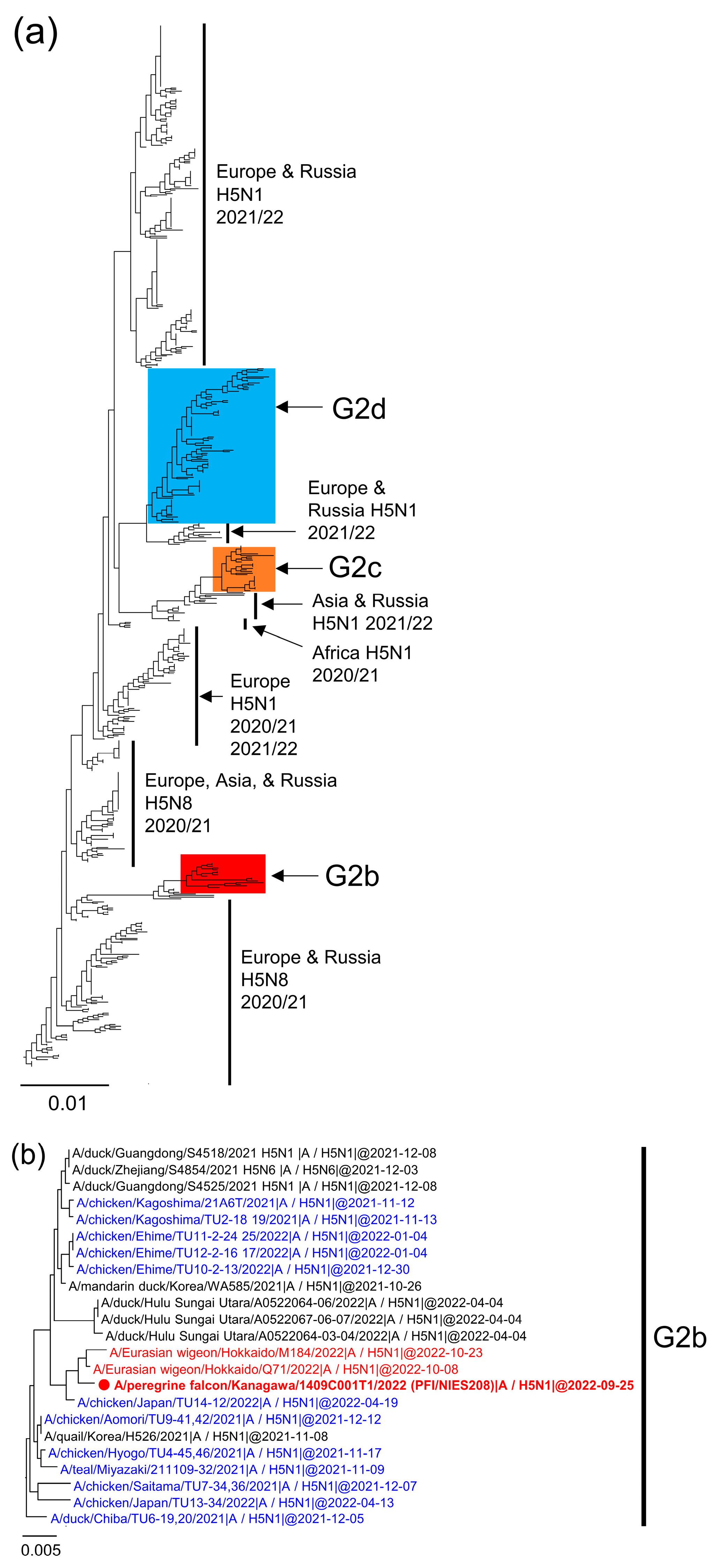 Viruses 15 01865 g001a