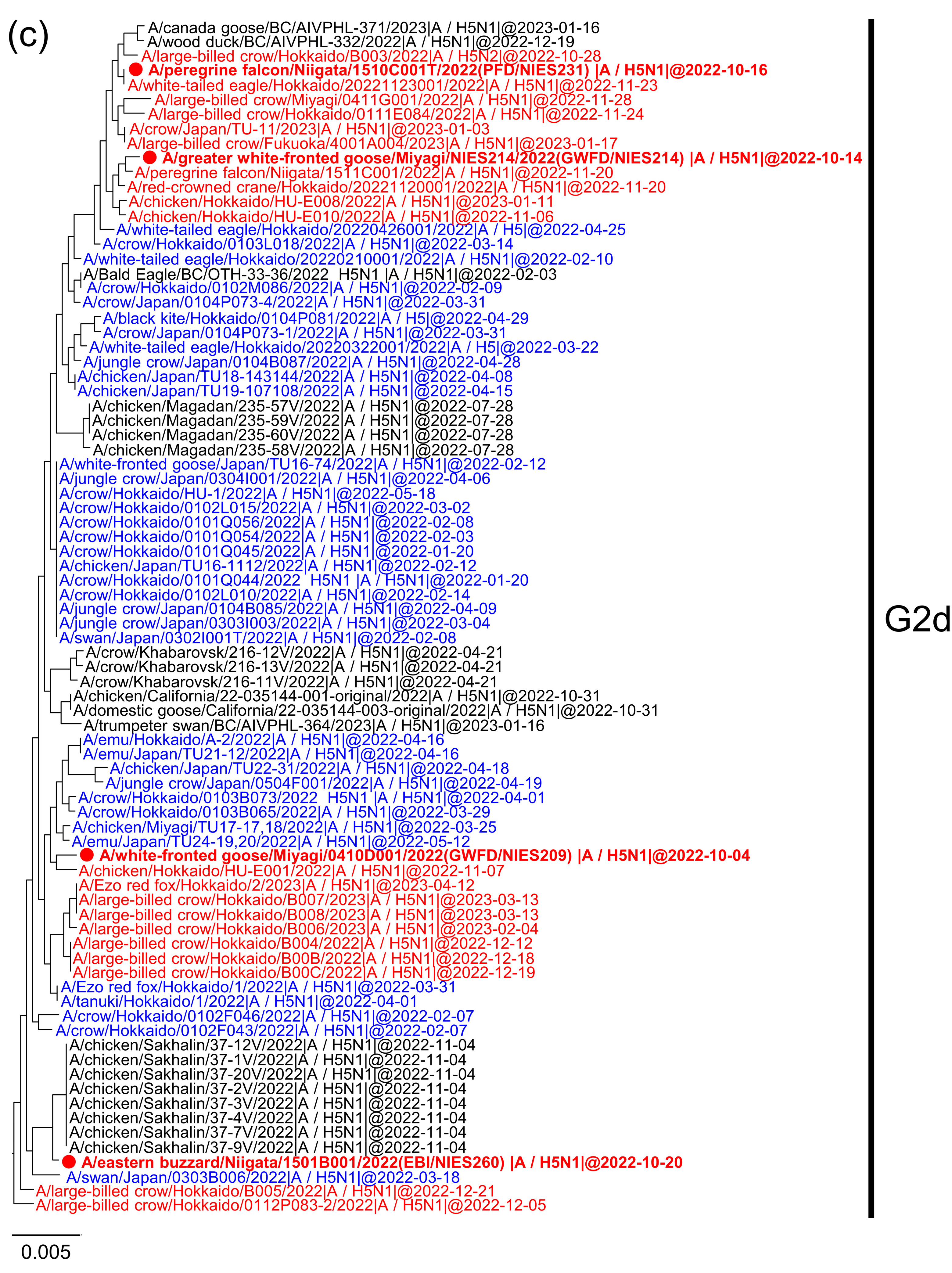 Viruses 15 01865 g001b