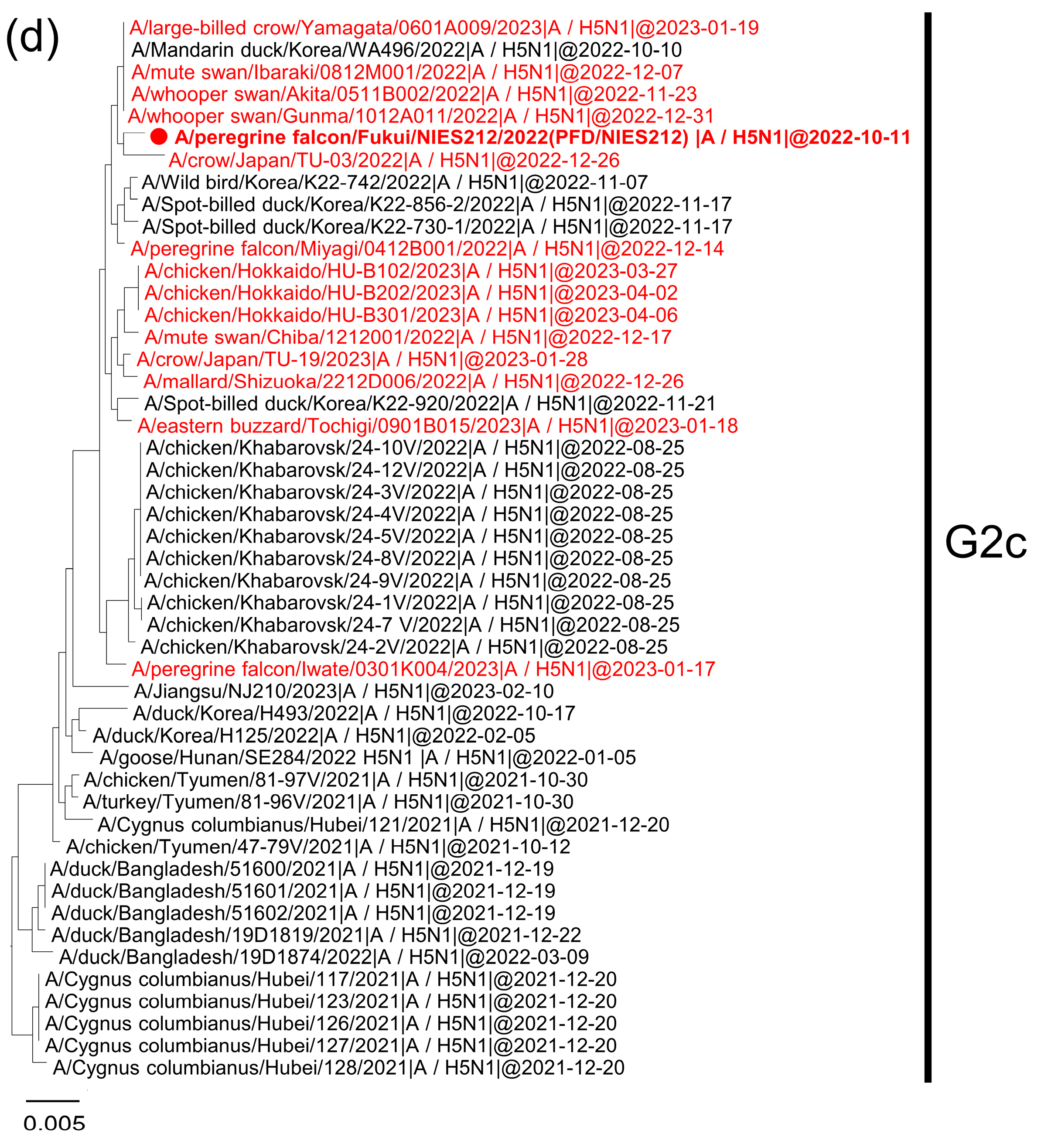 Viruses 15 01865 g001c