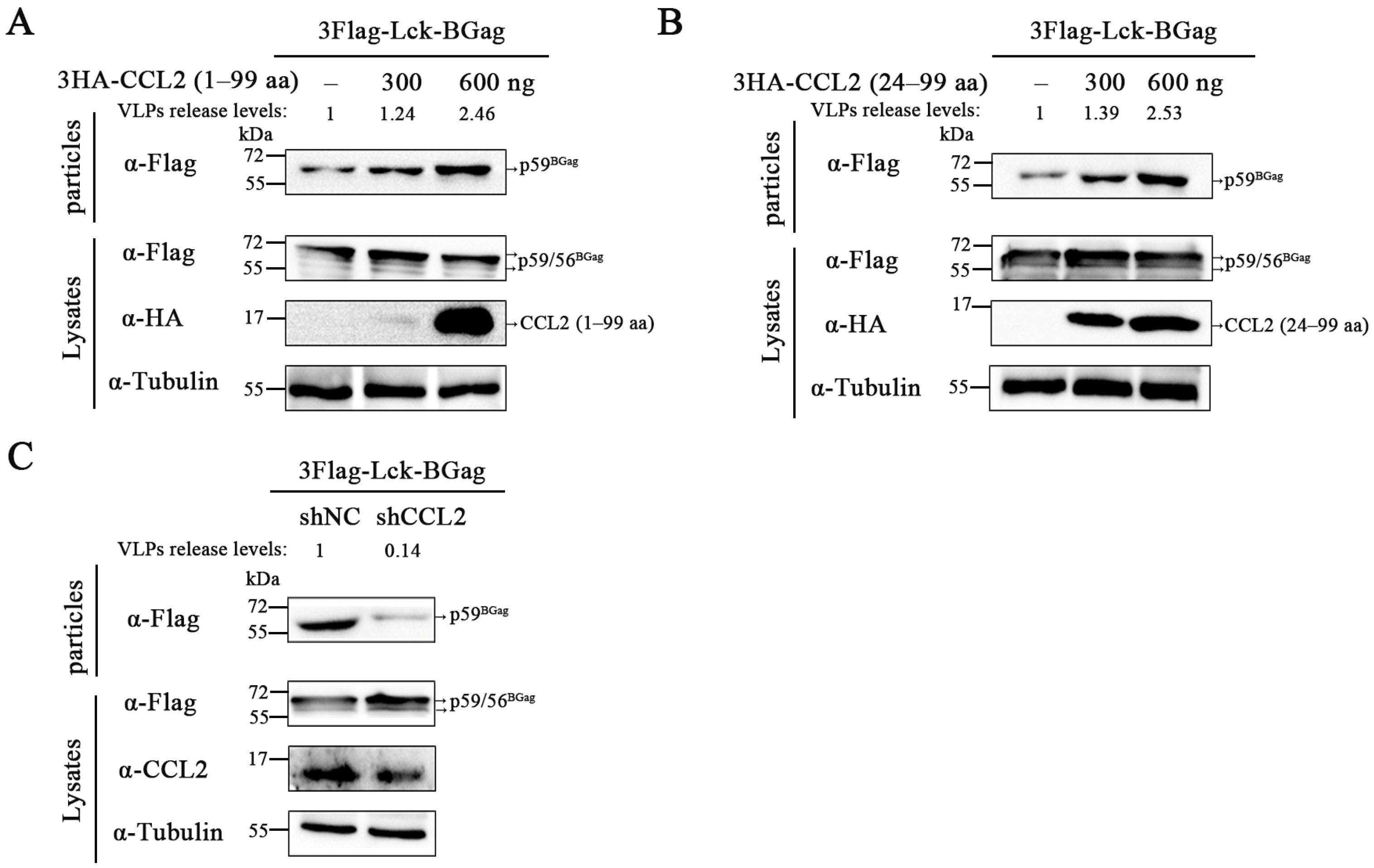 Viruses 15 01867 g002