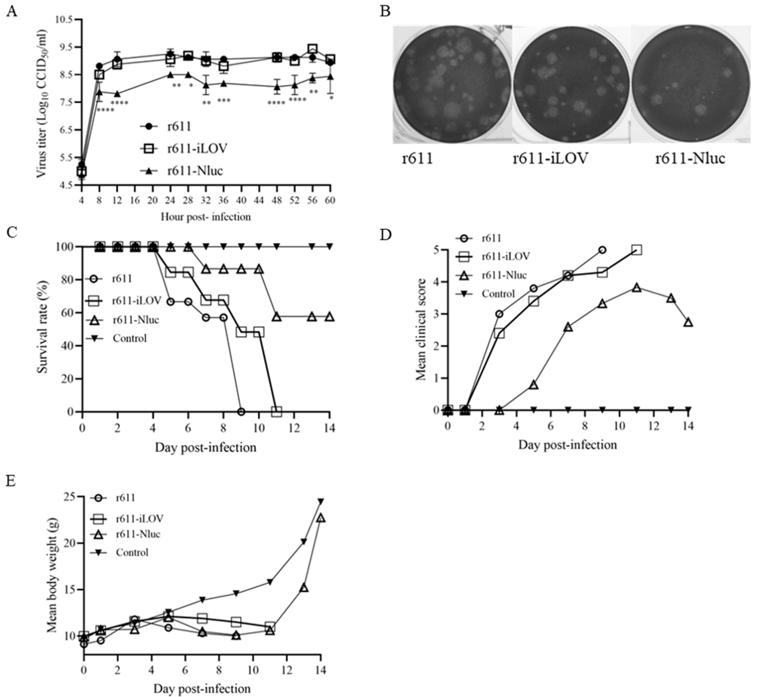 Viruses 15 01868 g004