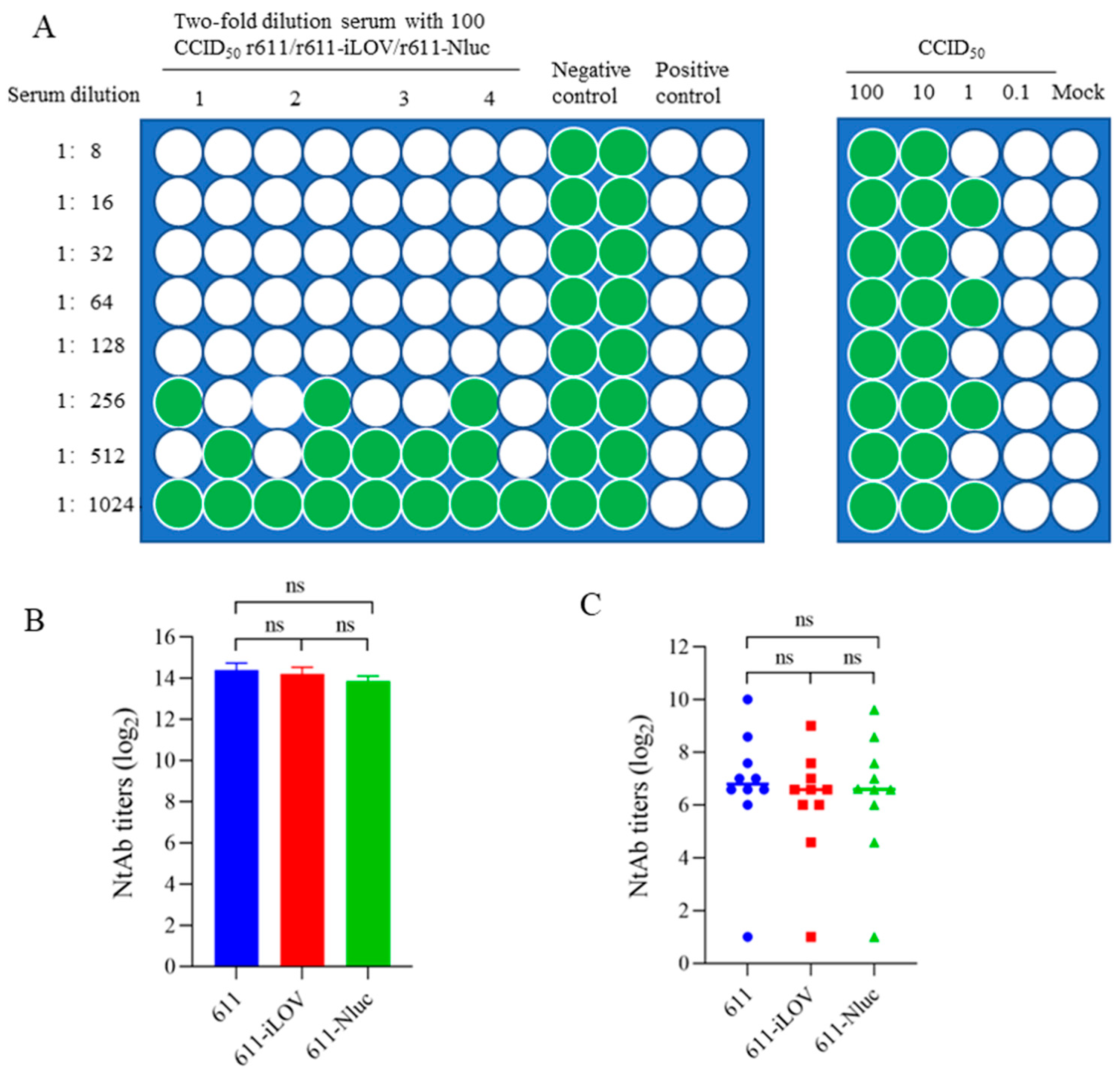 Viruses 15 01868 g005