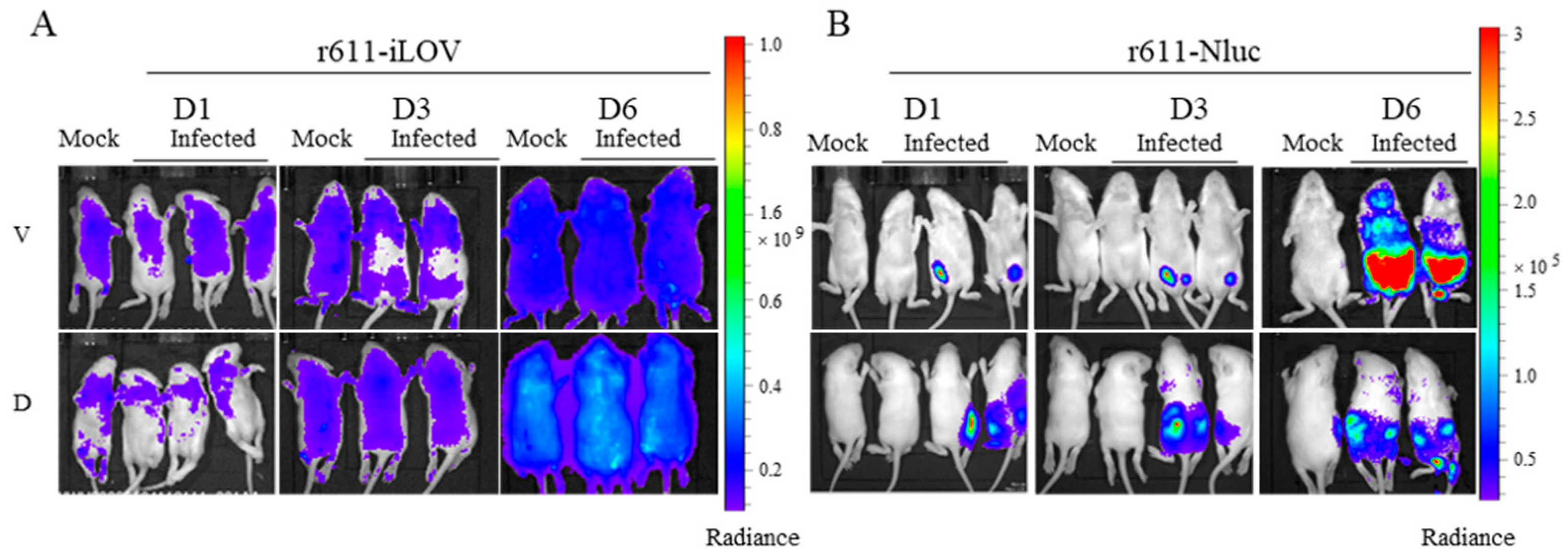 Viruses 15 01868 g006