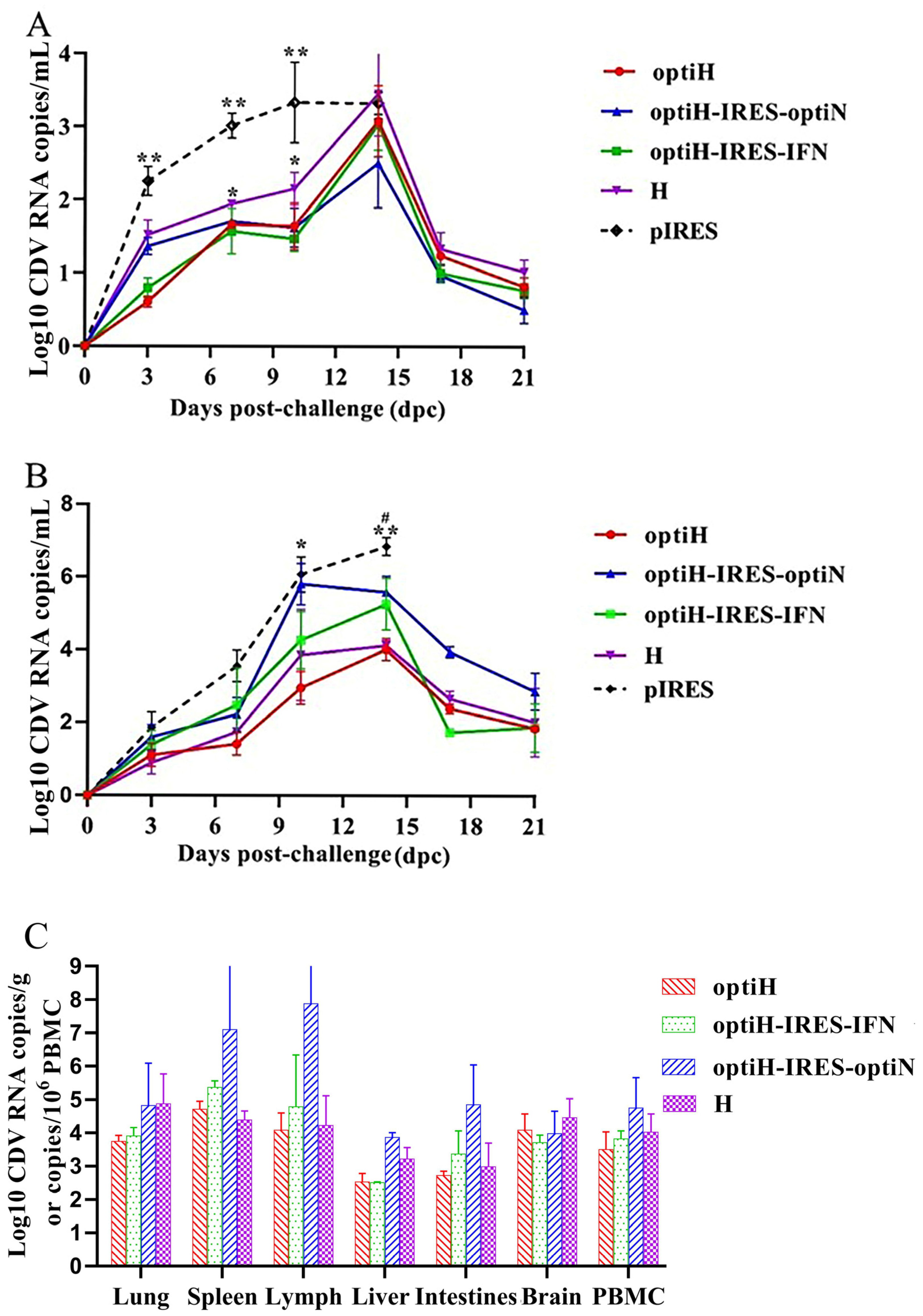 Viruses 15 01873 g008