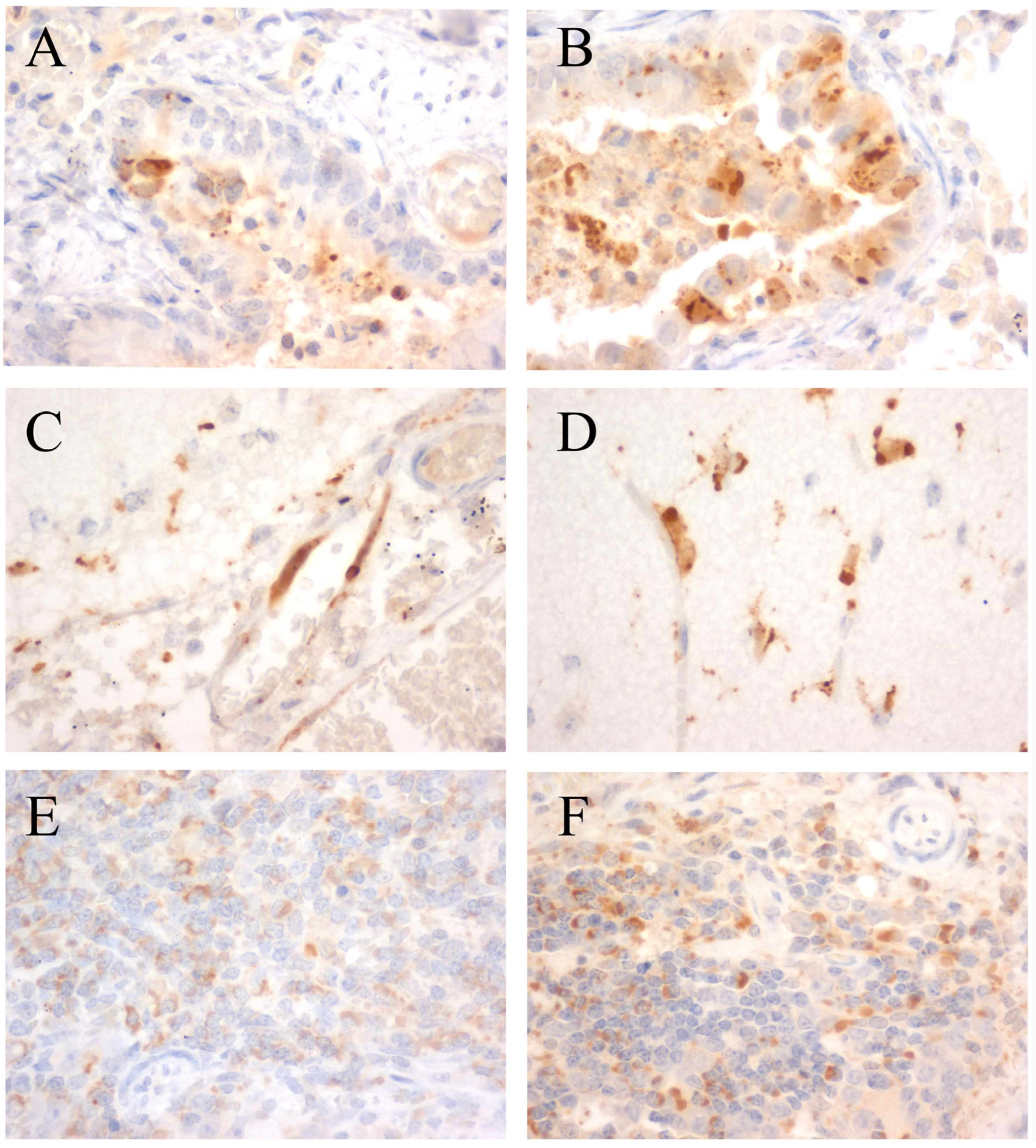 Viruses 15 01873 g0a3