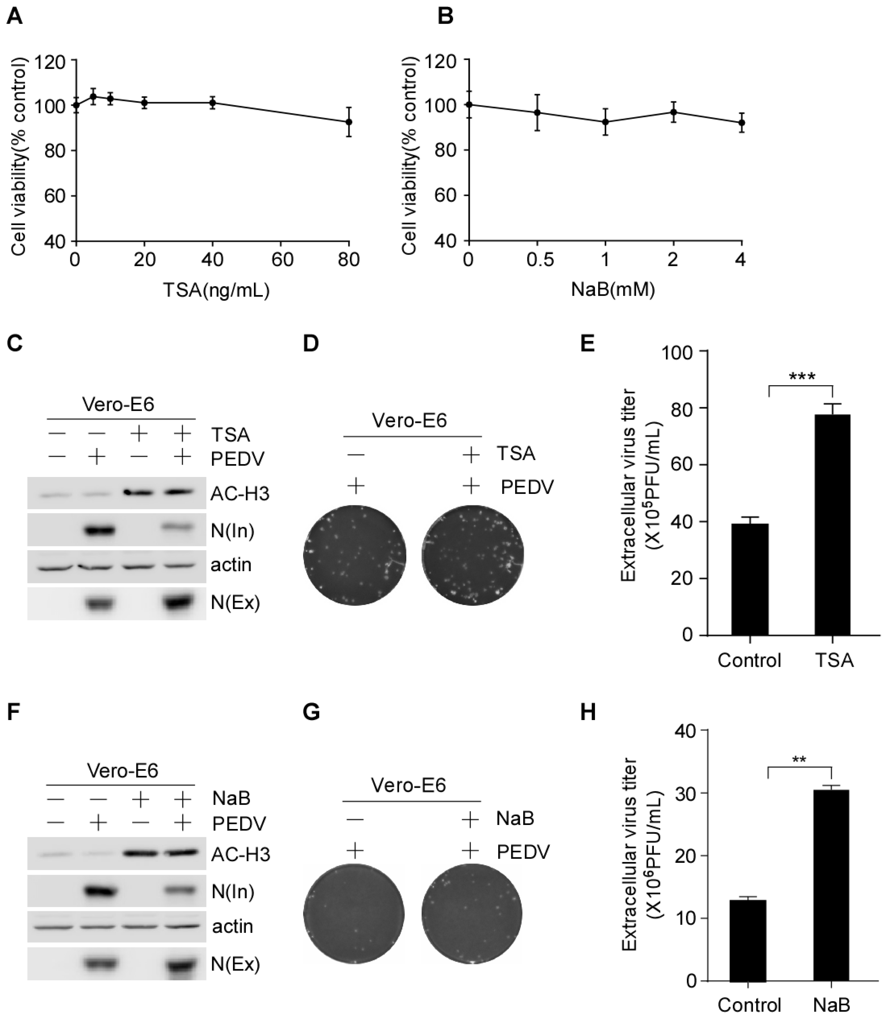 Viruses 15 01874 g001